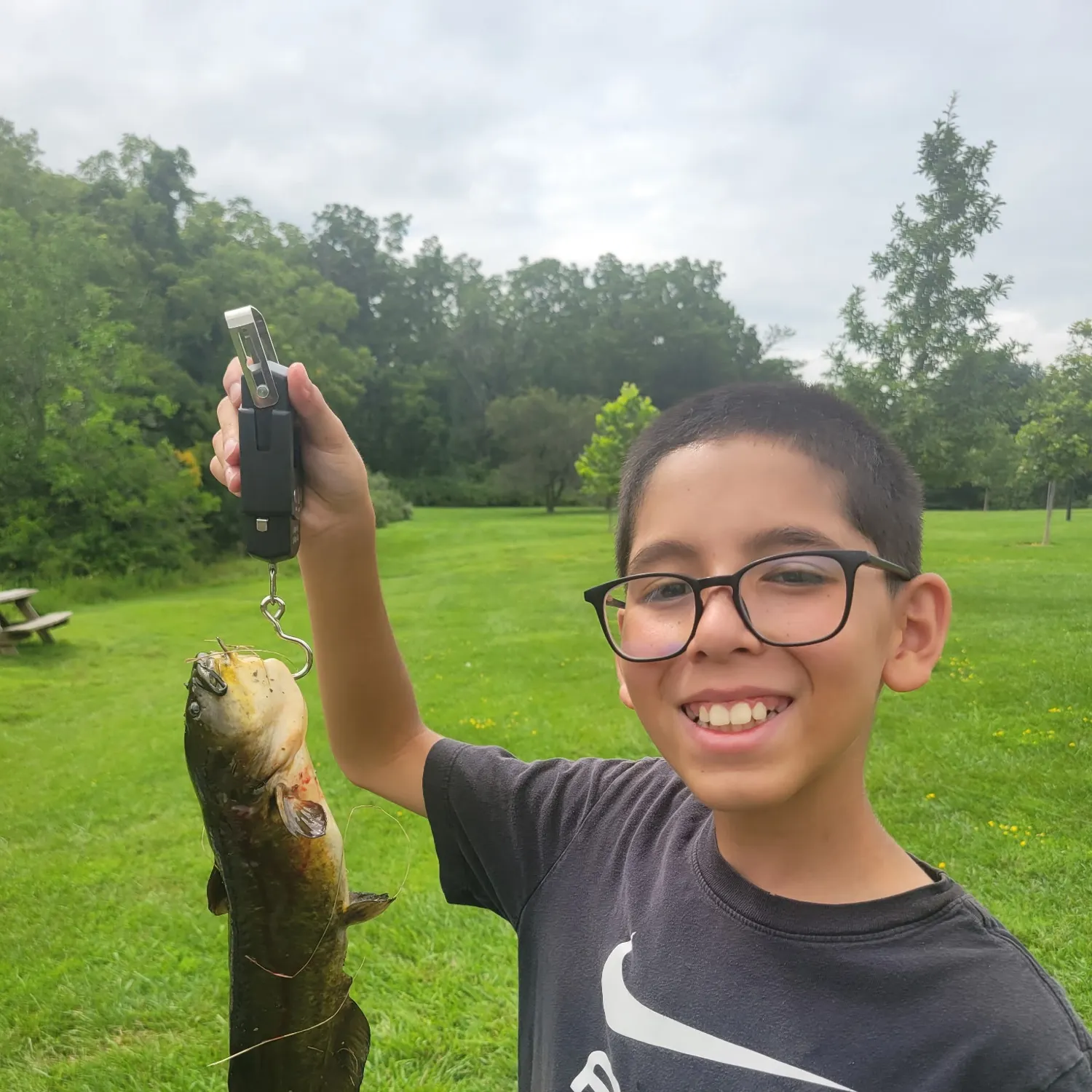Black bullhead caught on Fishbrain