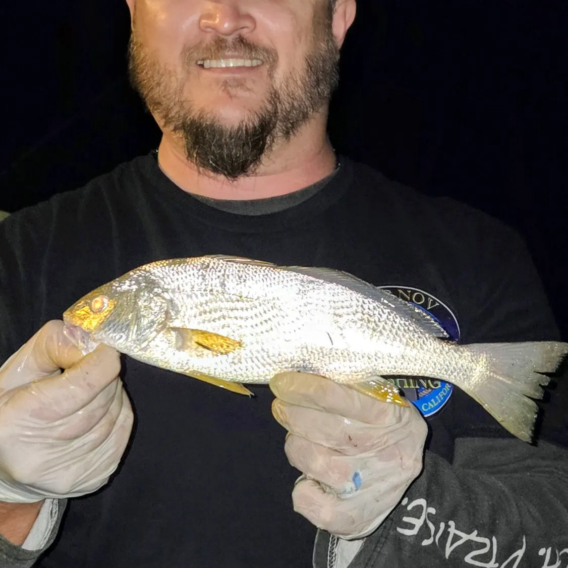 Yellowfin croaker caught on Fishbrain