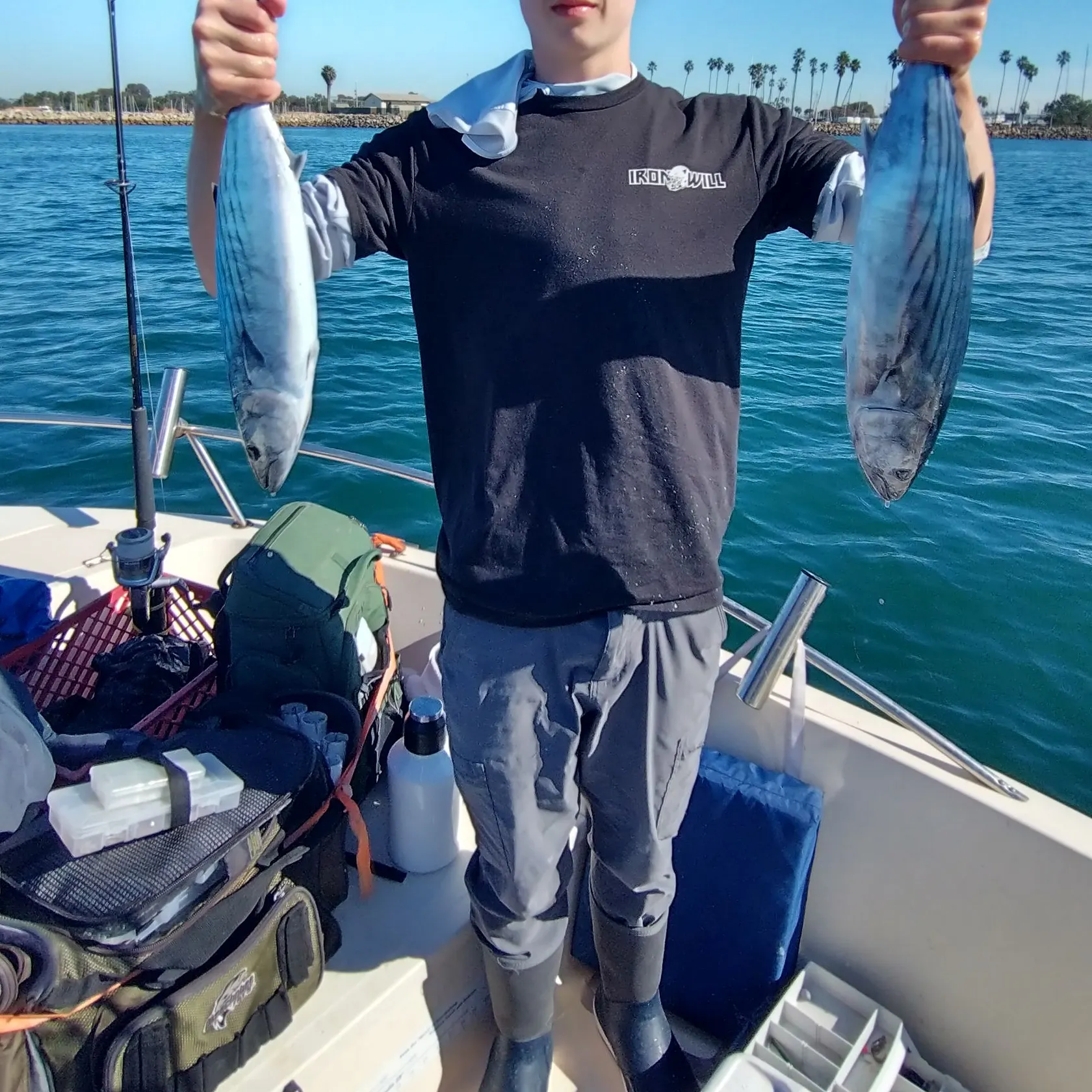 Fishing in Solana Beach, CA (United States) ➡️️️️ Find Spots, Species & Tips