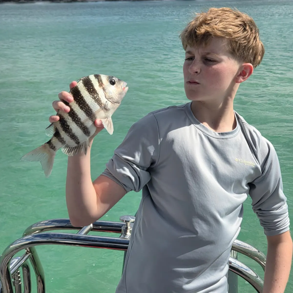 The most recent Sheepshead catches on Fishbrain