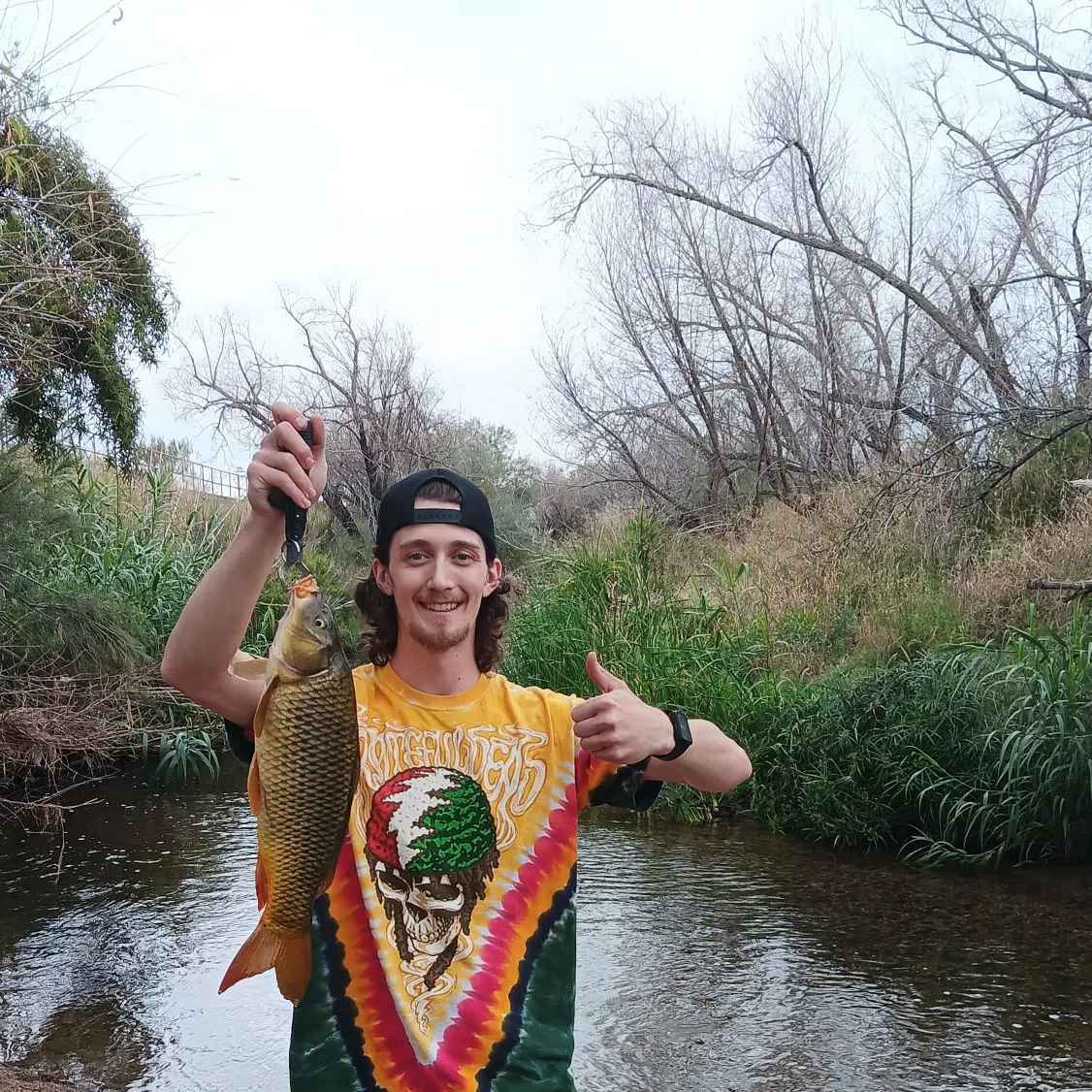 The most recent Common carp catches on Fishbrain