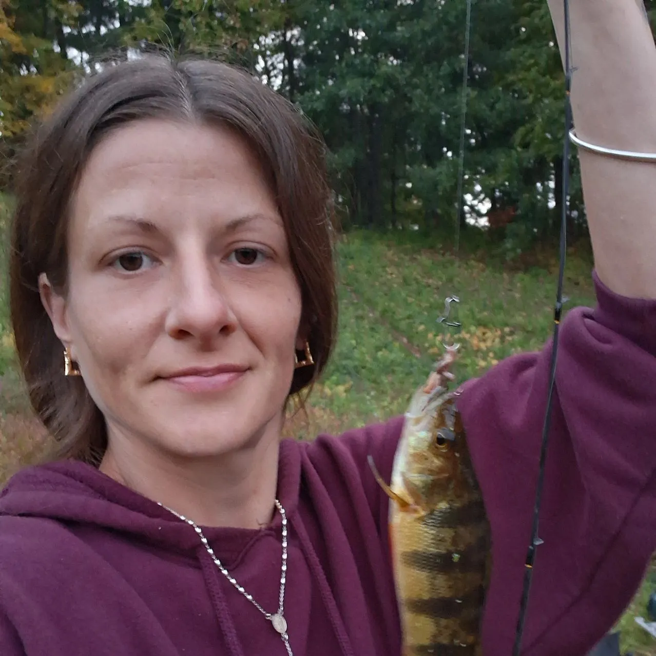 Yellow perch caught on Fishbrain
