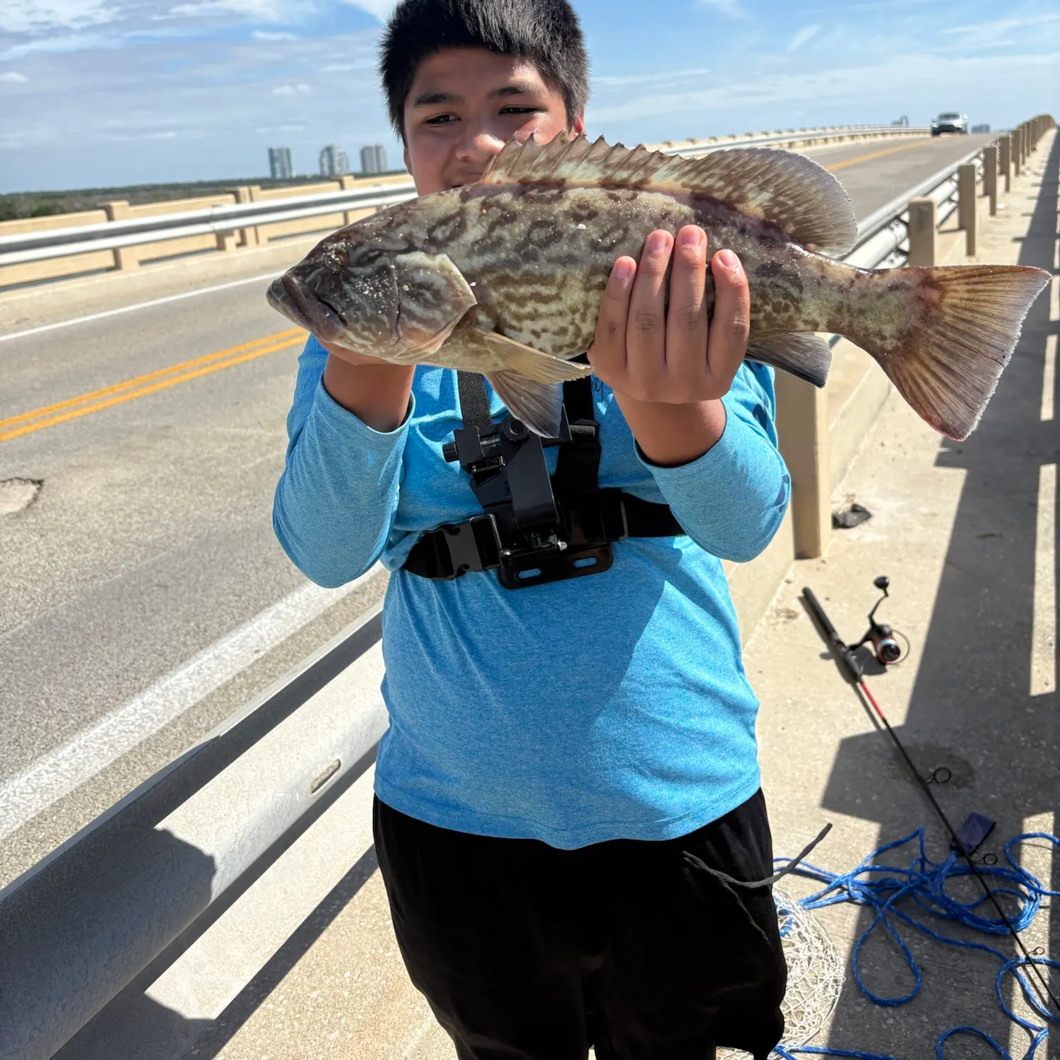 Gag grouper caught on Fishbrain