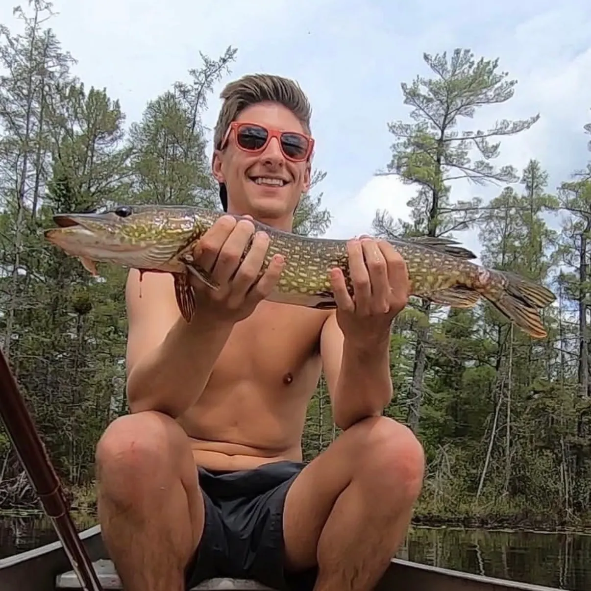 Northern pike caught on Fishbrain