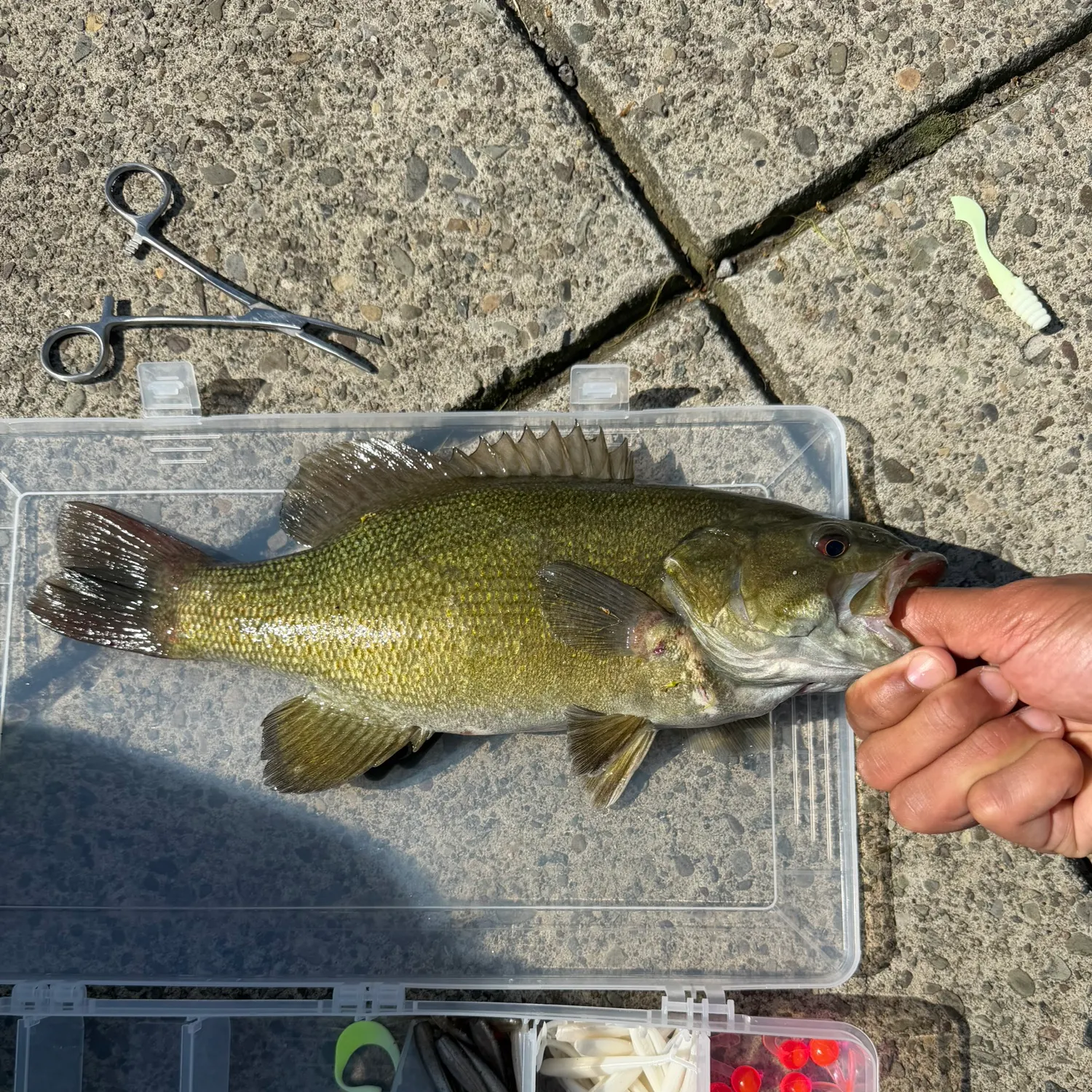 catch