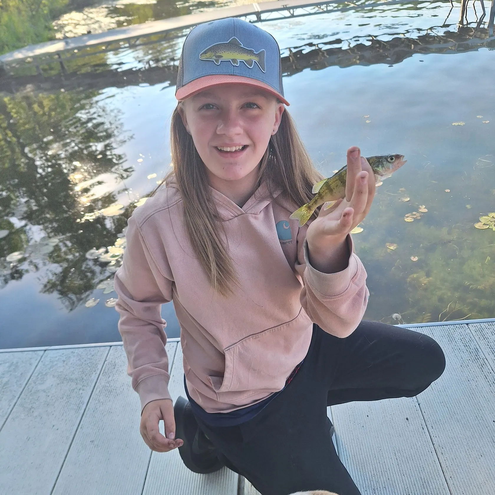 Yellow perch caught on Fishbrain