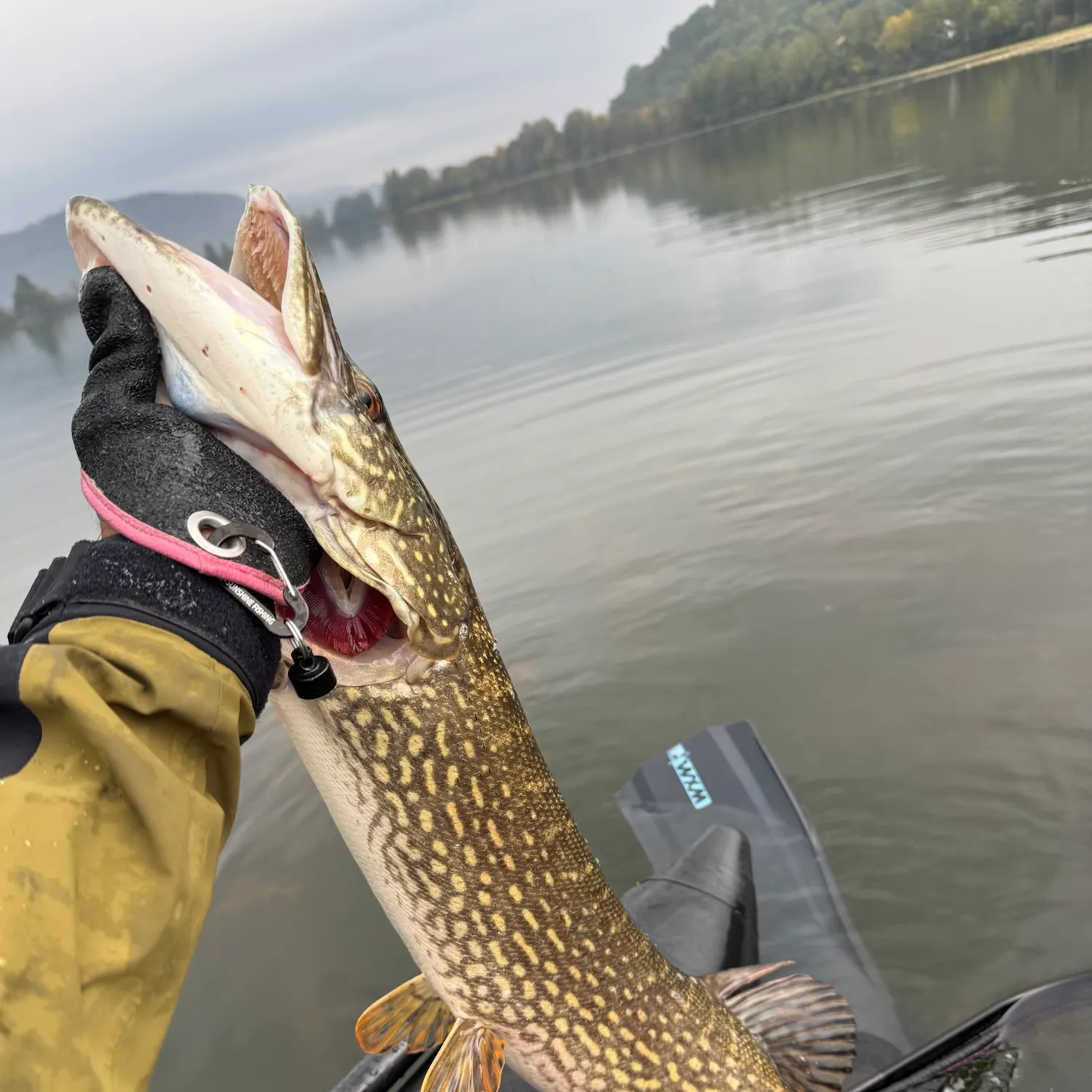 Northern pike caught on Fishbrain
