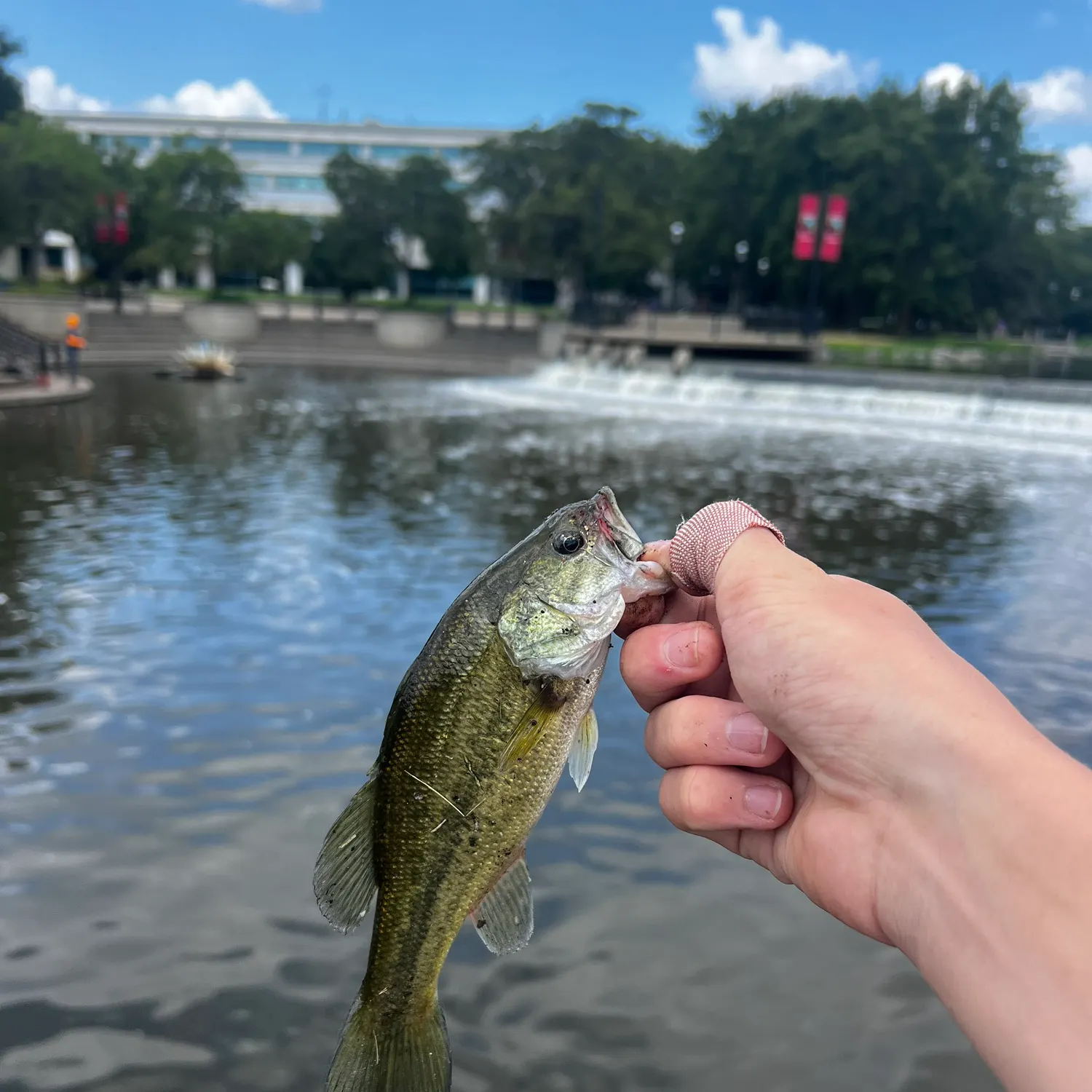 catch