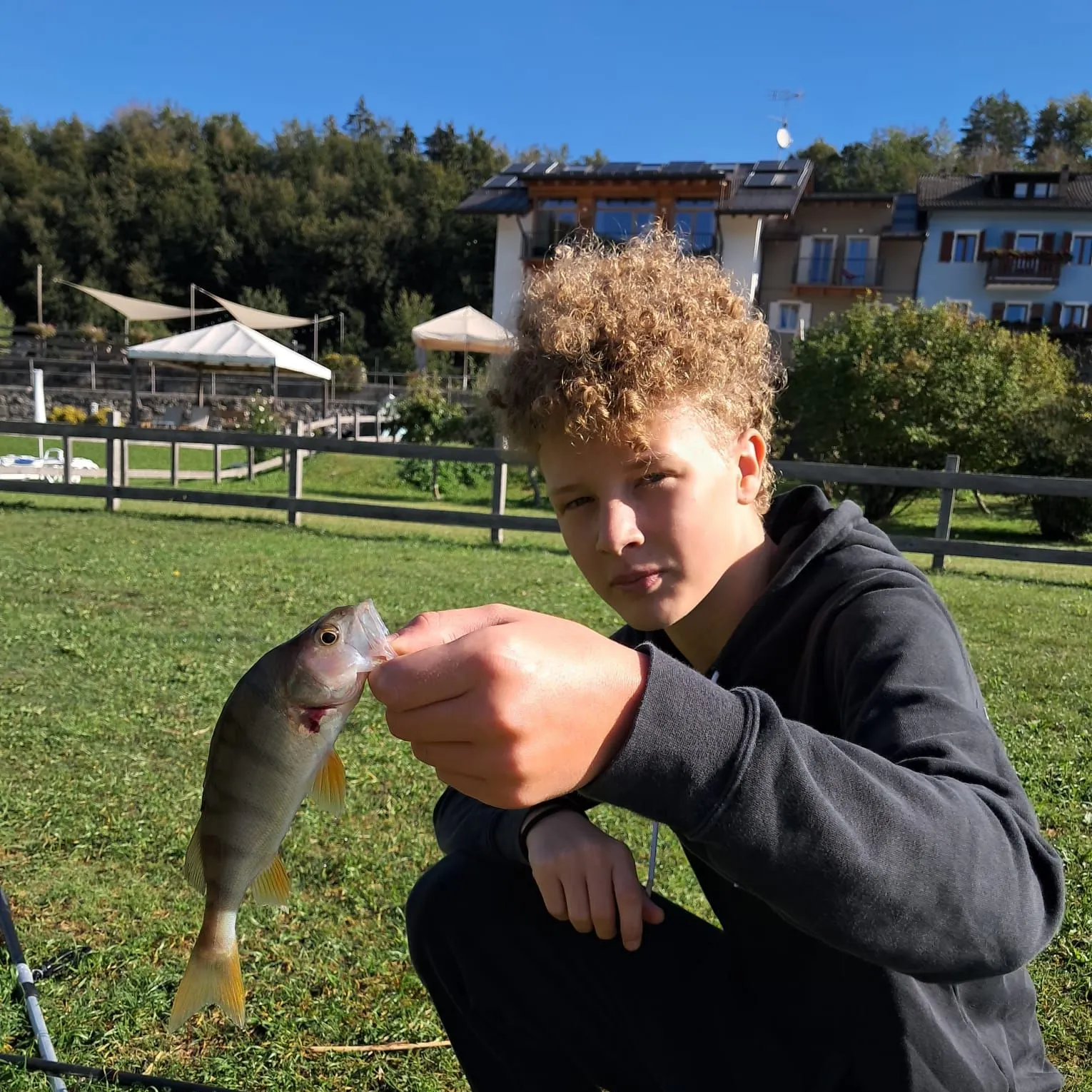 European perch caught on Fishbrain