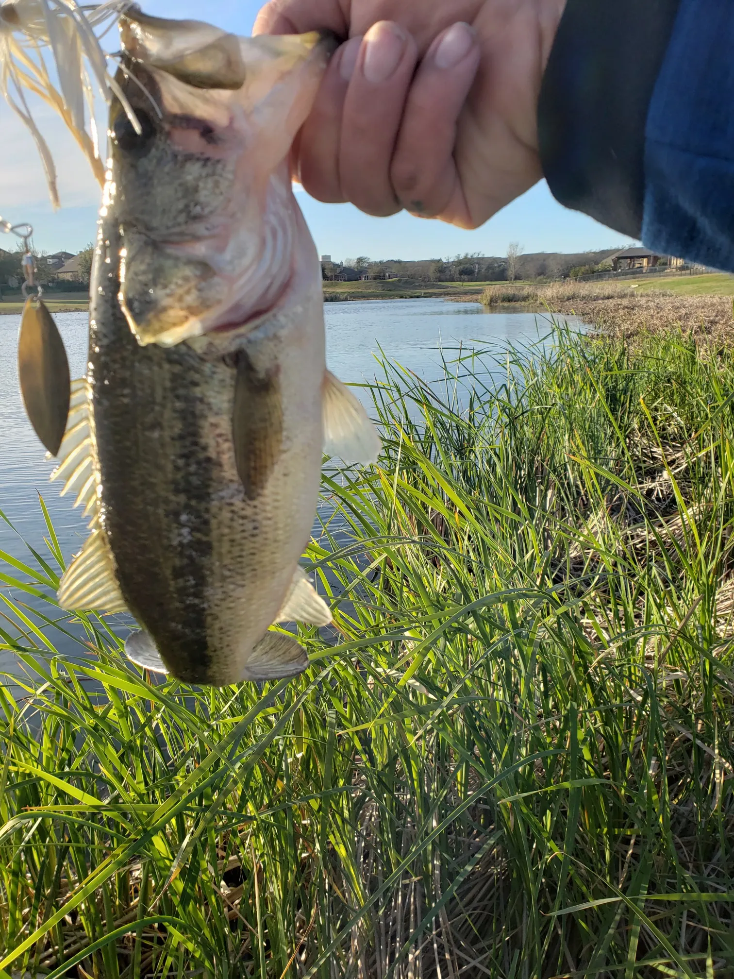 Post image from Annihilator_Crader