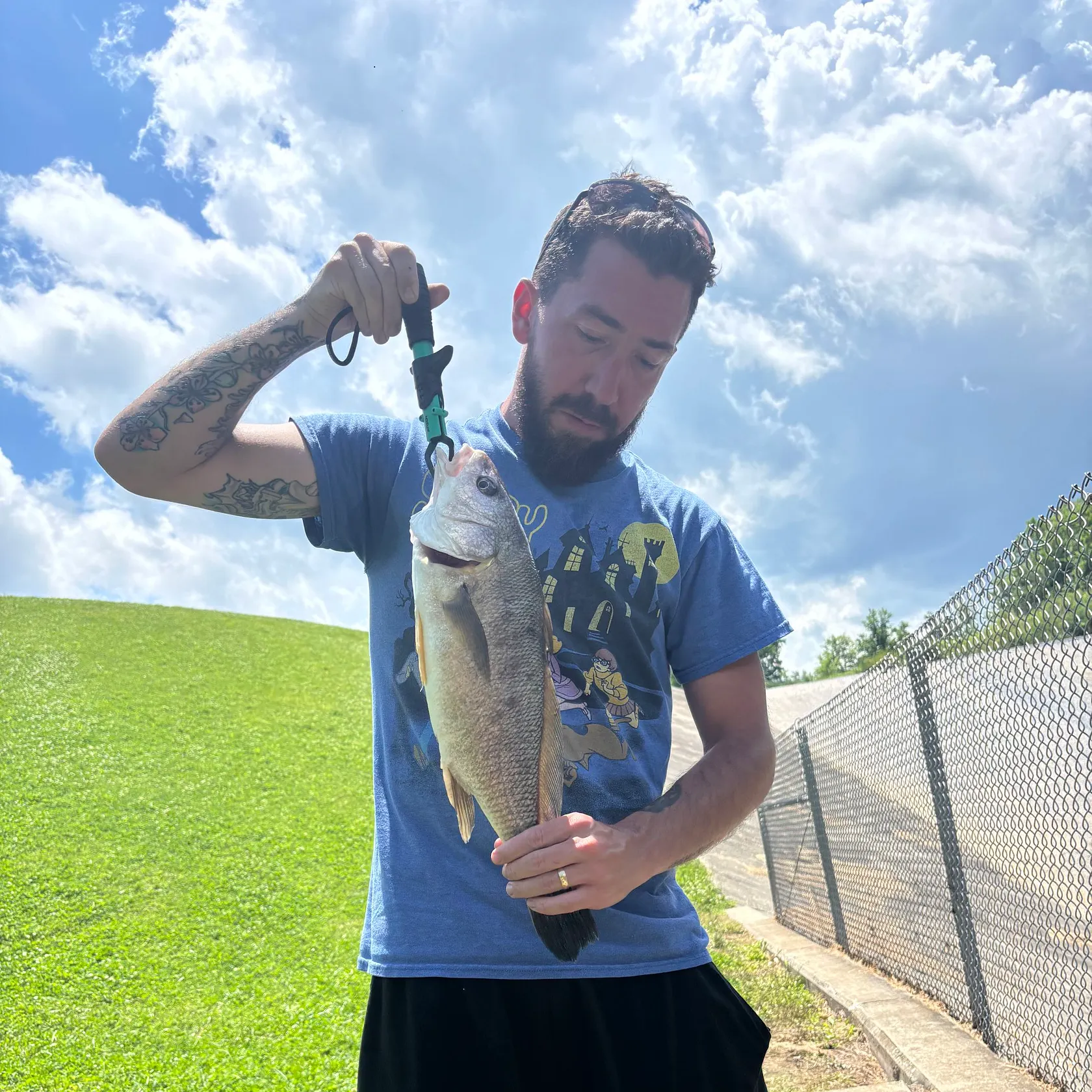 catch