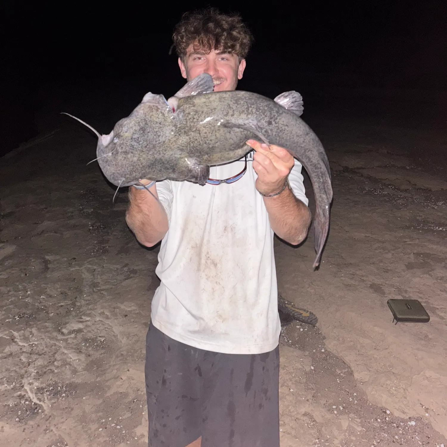Flathead catfish caught on Fishbrain