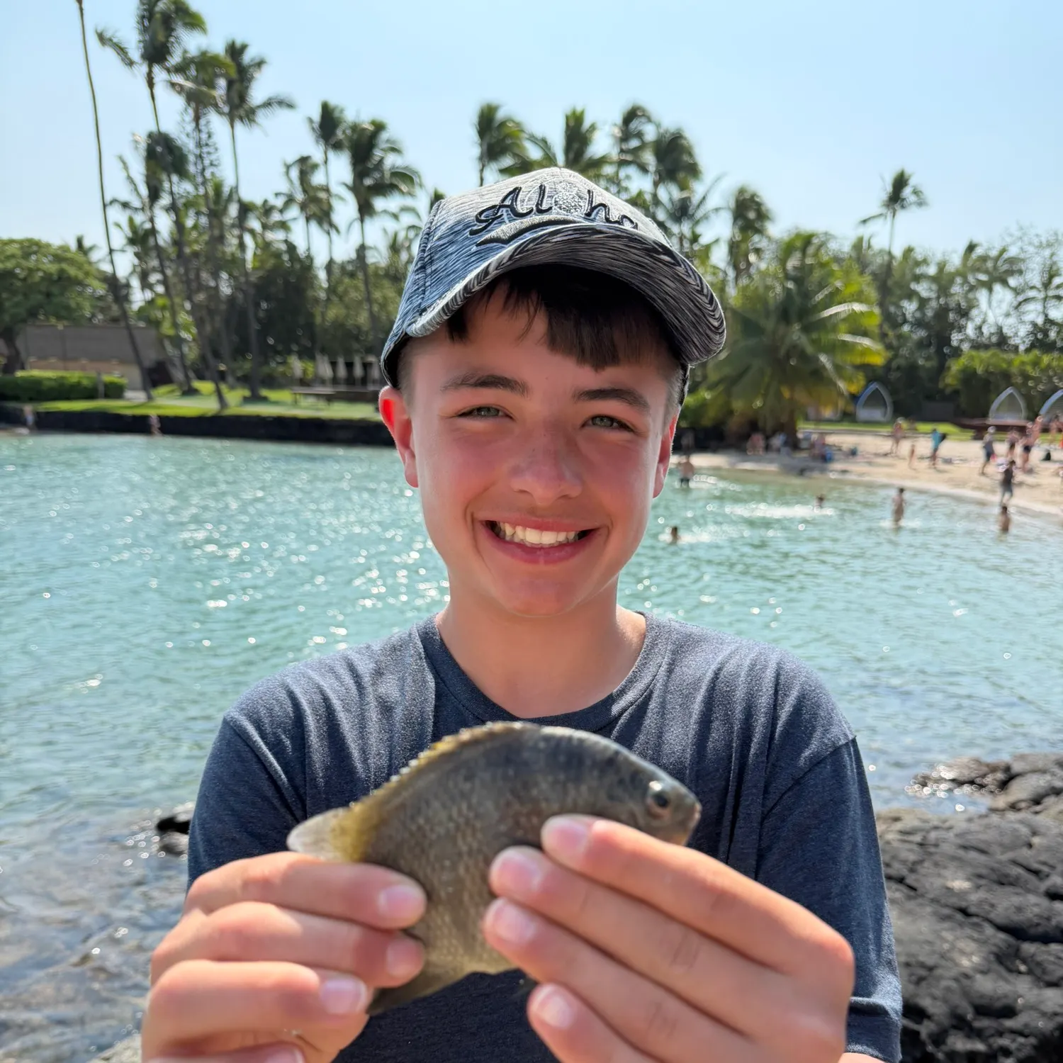 The most recent Redbreast tilapia catches on Fishbrain