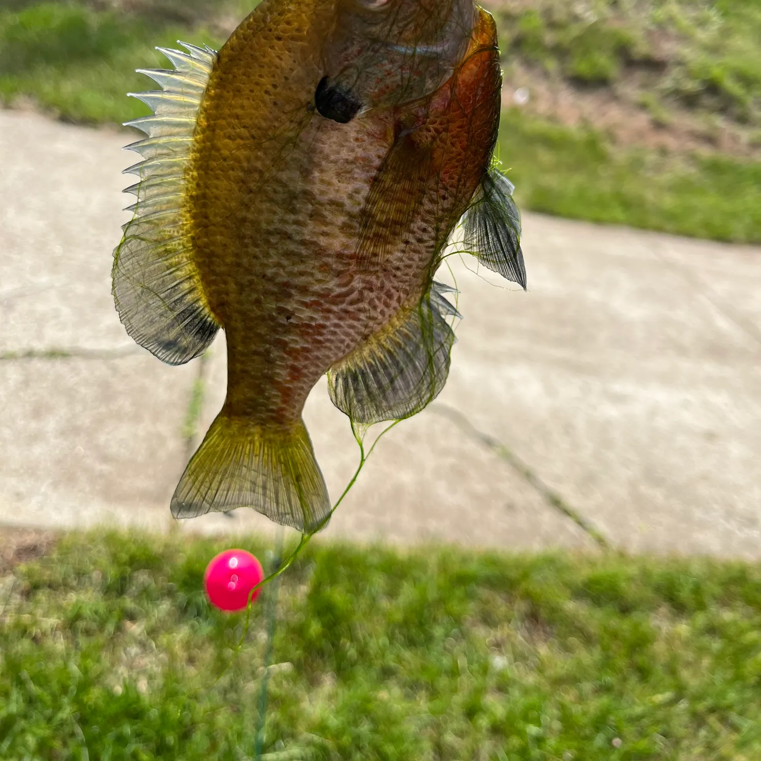 catch