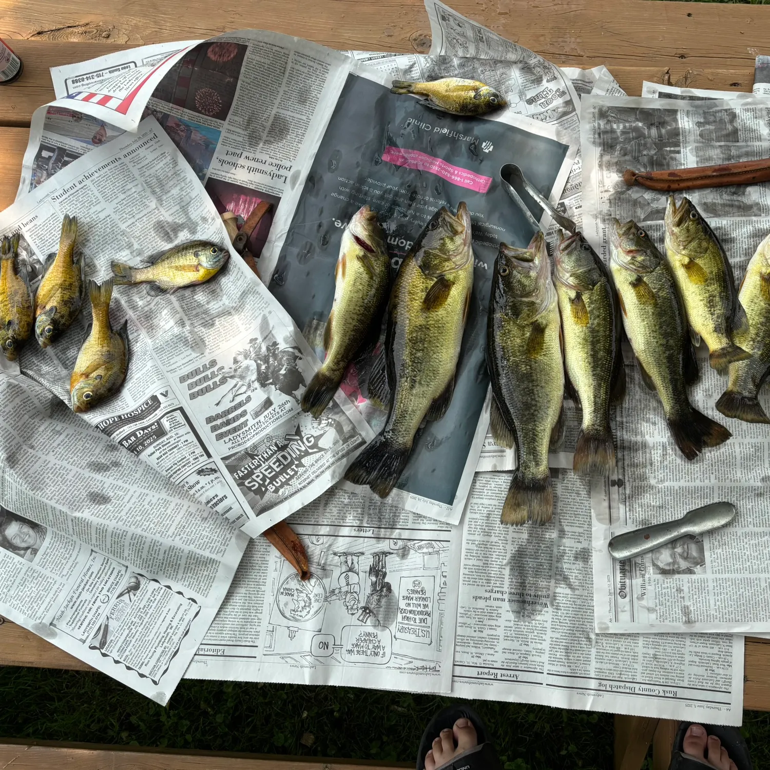 recently logged catches