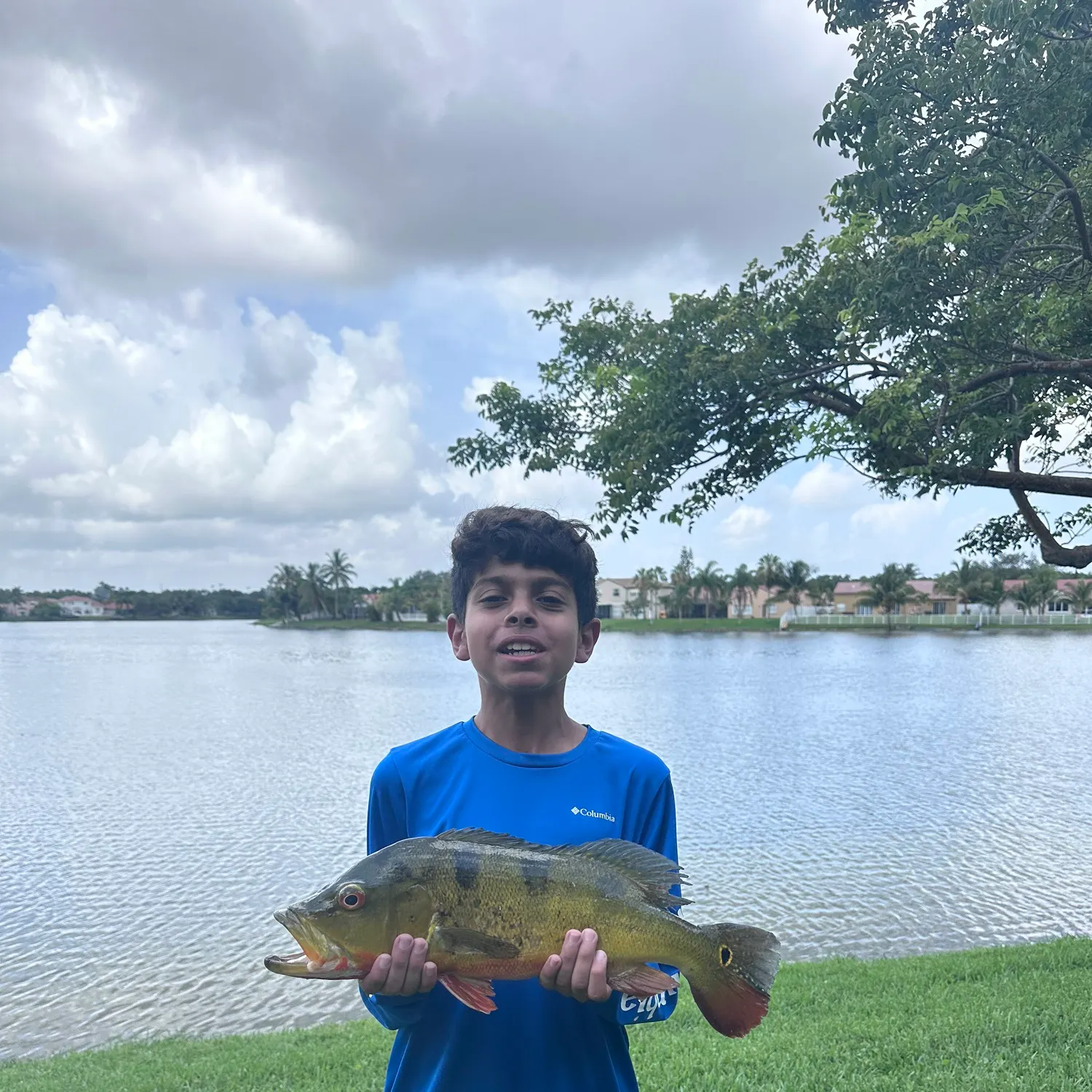 The most recent Butterfly peacock bass catches on Fishbrain