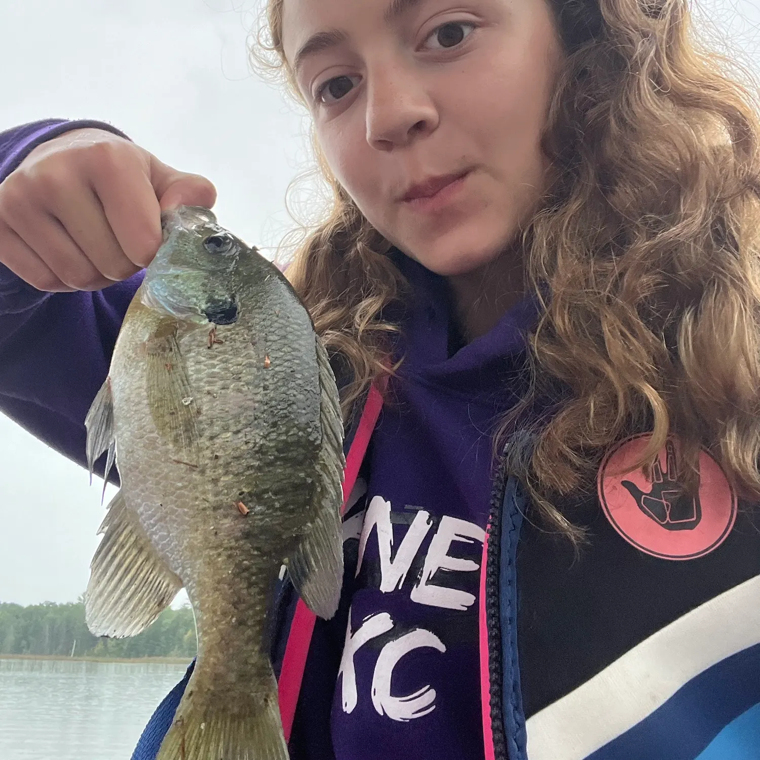 Bluegill caught on Fishbrain