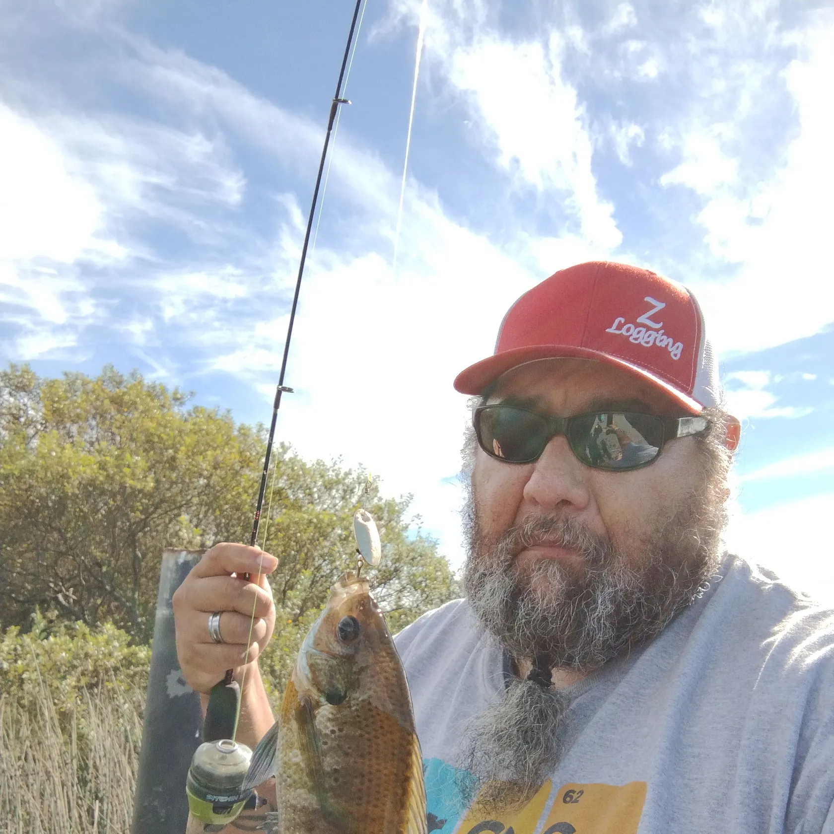 Bluegill caught on Fishbrain