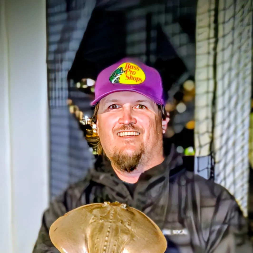 The most recent Thornback guitarfish catches on Fishbrain