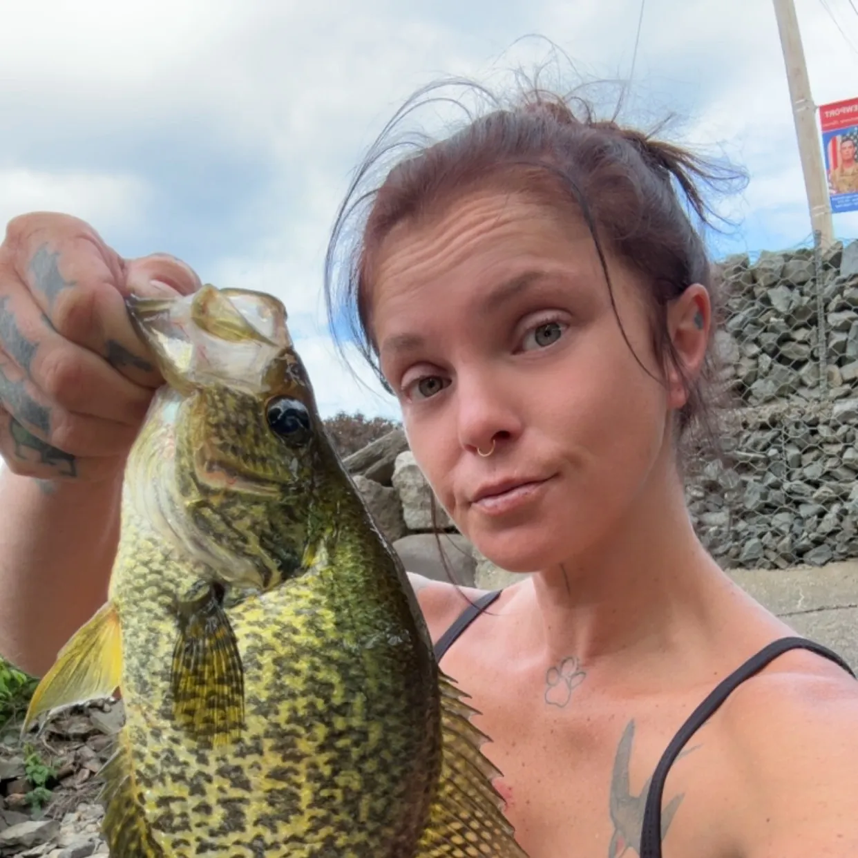 Black crappie caught on Fishbrain