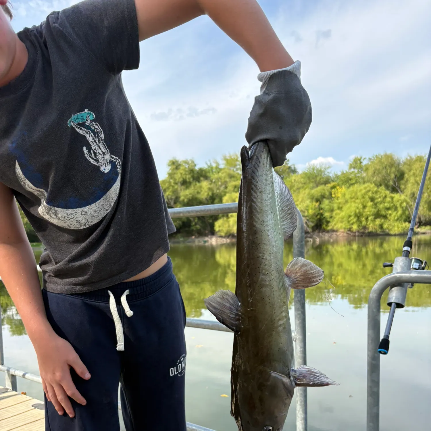 Channel catfish caught on Fishbrain
