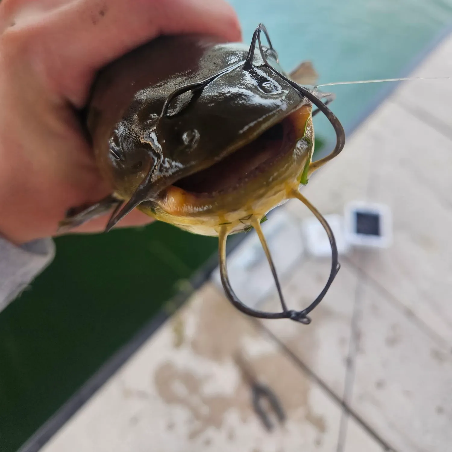 catch