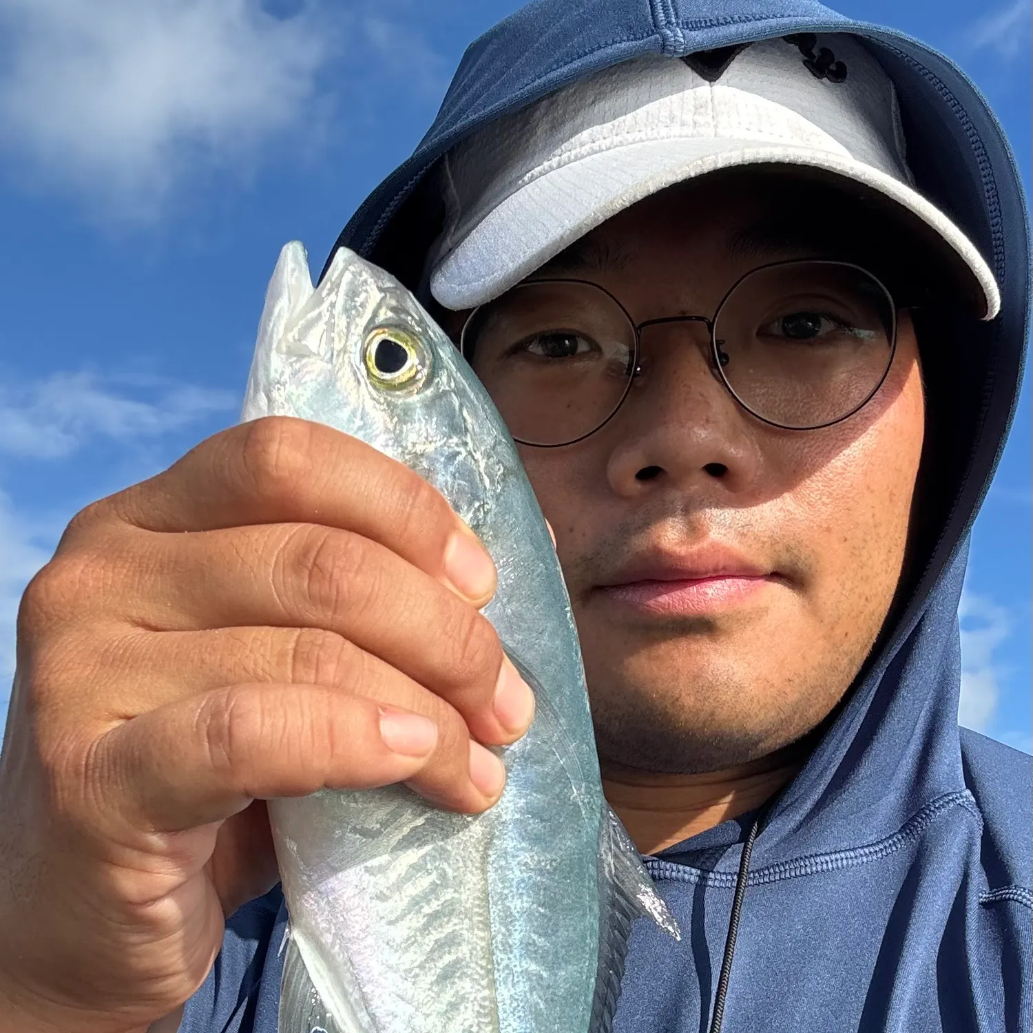 Blue runner caught on Fishbrain