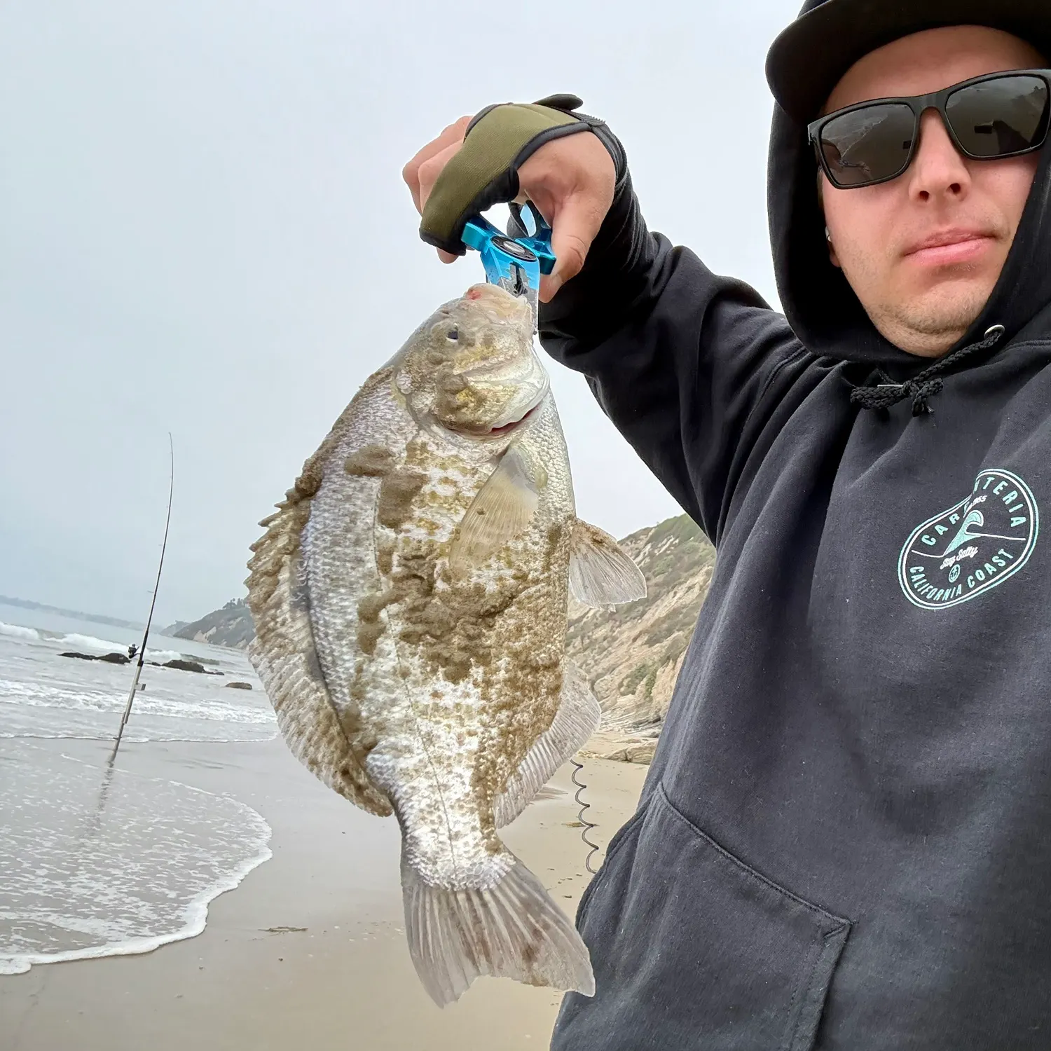 The most recent Barred surfperch catches on Fishbrain