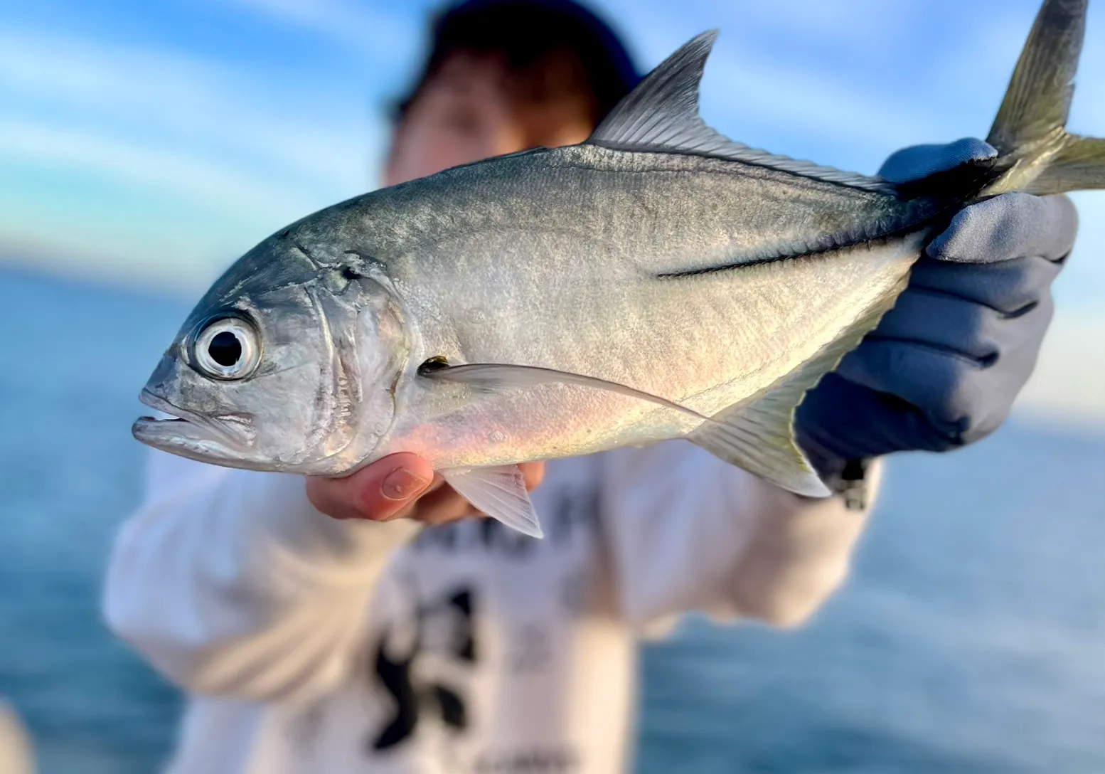 Pacific crevalle jack