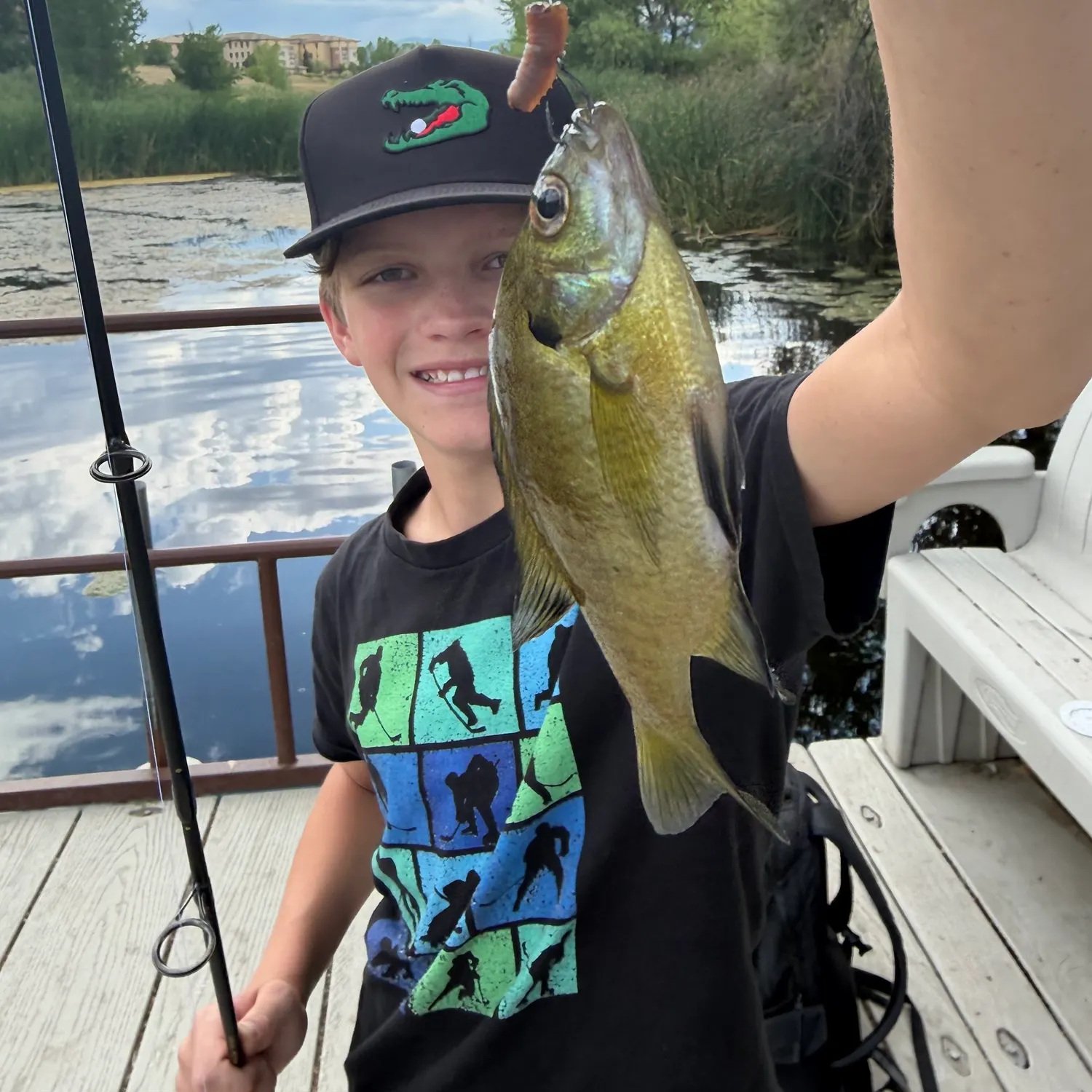 Bluegill caught on Fishbrain