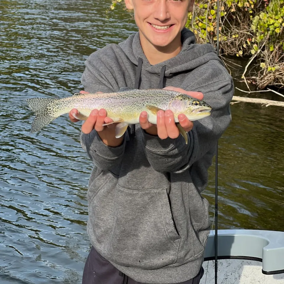 Steelhead caught on Fishbrain