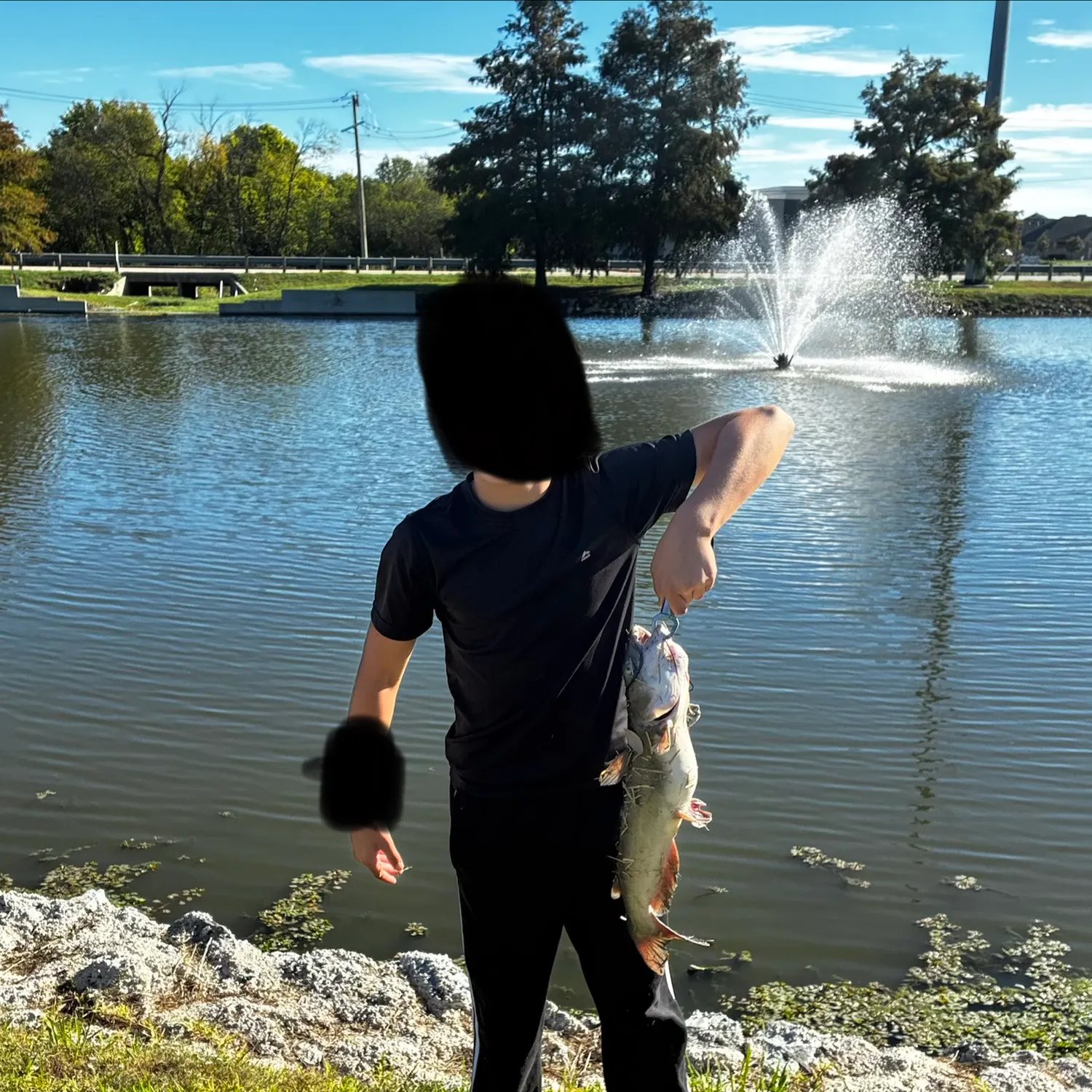 Channel catfish caught on Fishbrain