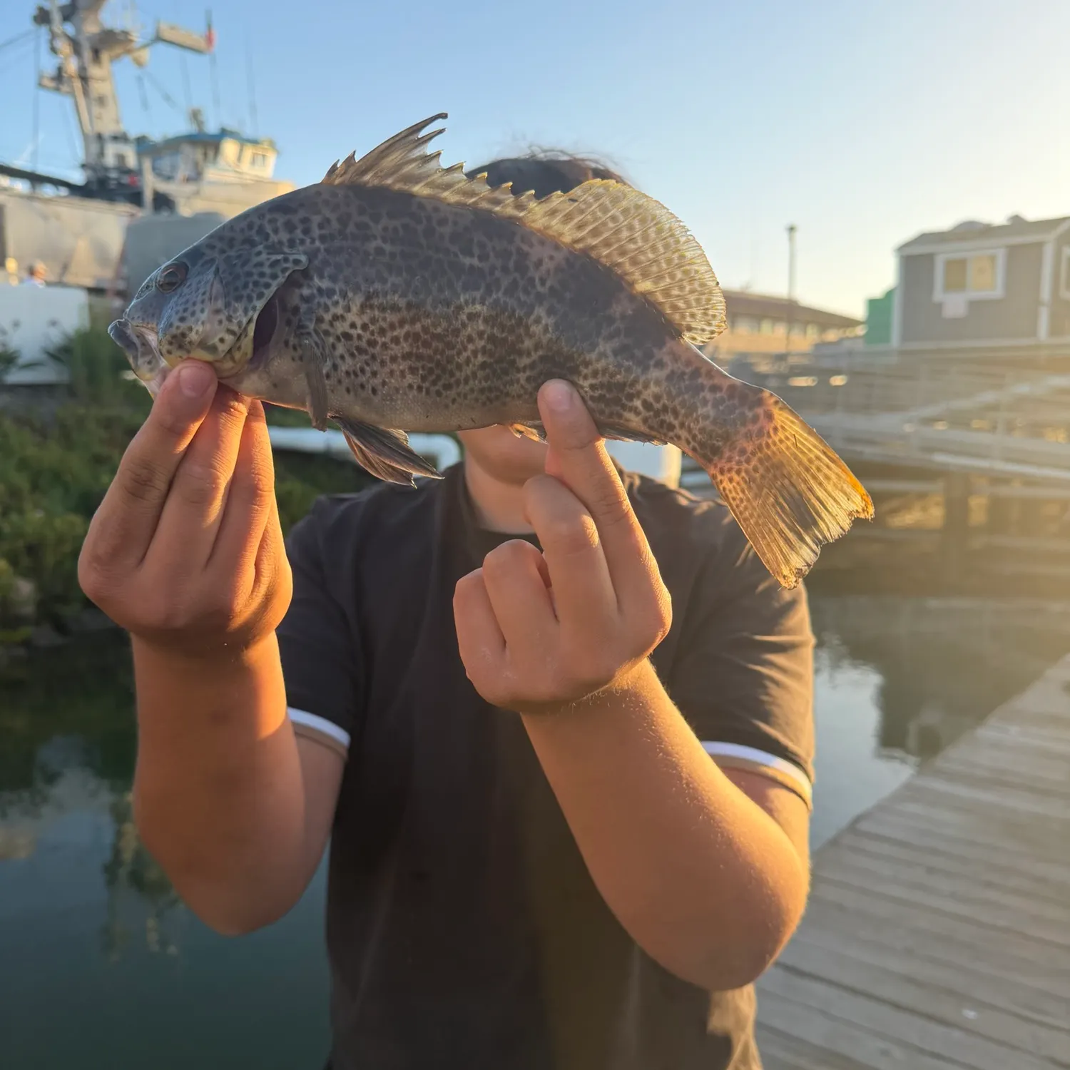 catch