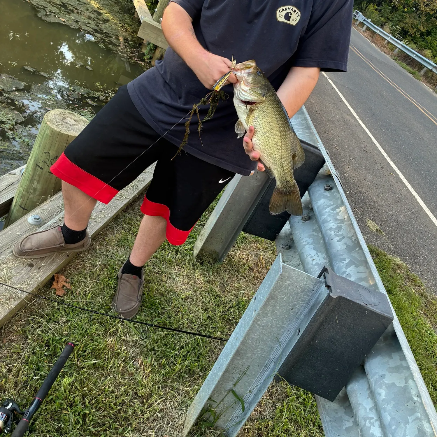 Largemouth bass caught on Fishbrain