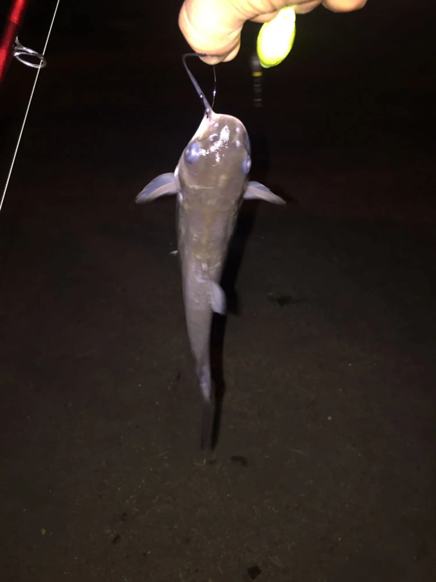 Post image from AgentS19