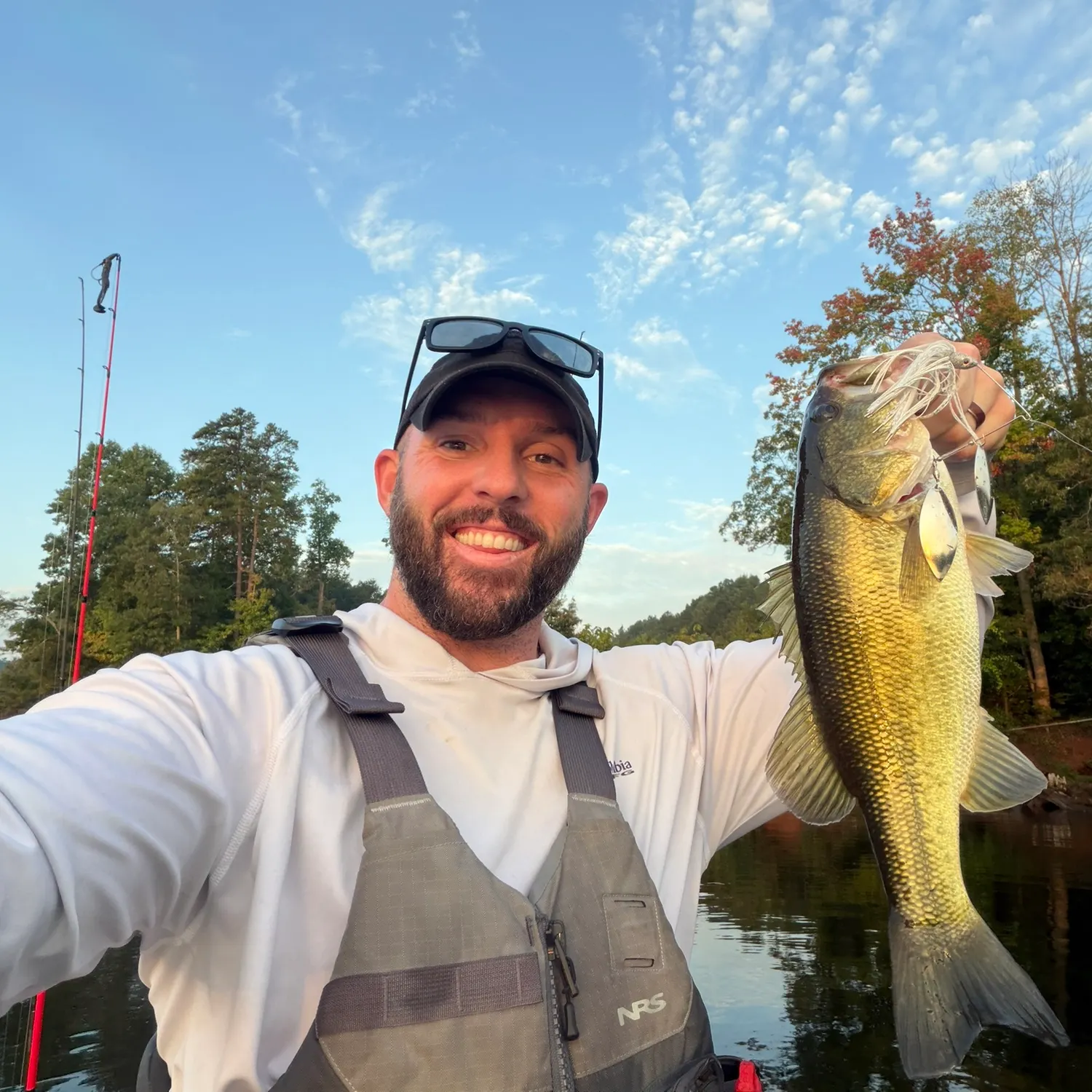 Largemouth bass caught on Fishbrain