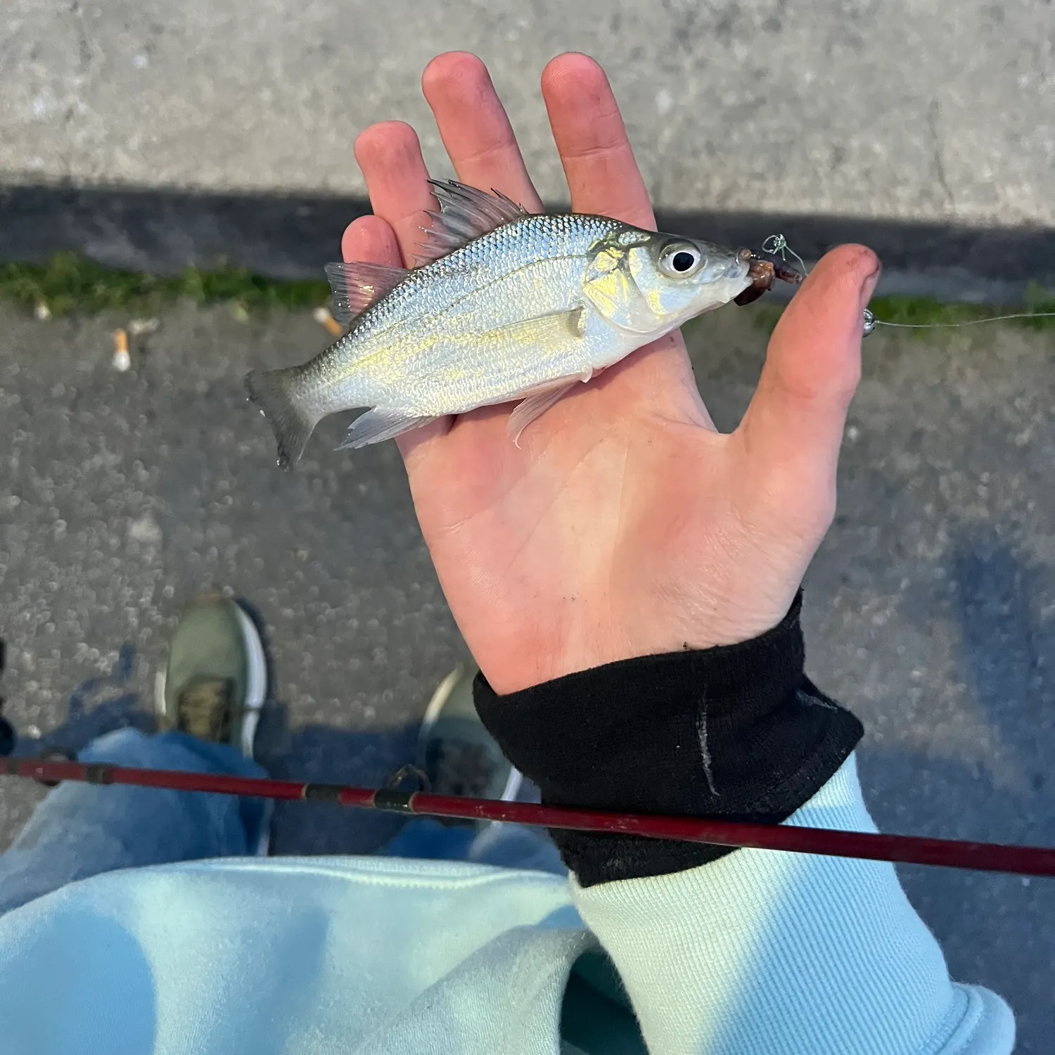 catch