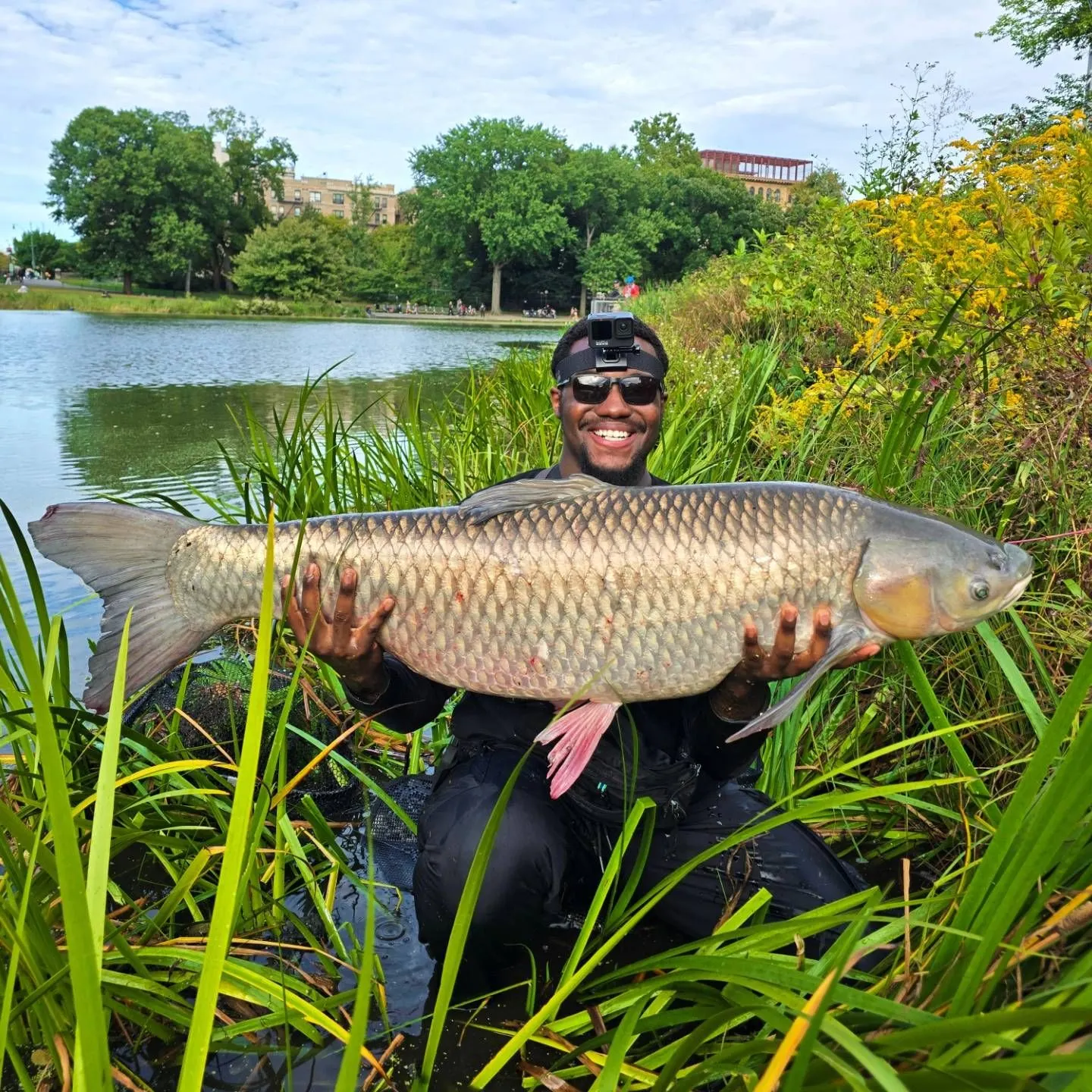 Grass carp caught on Fishbrain