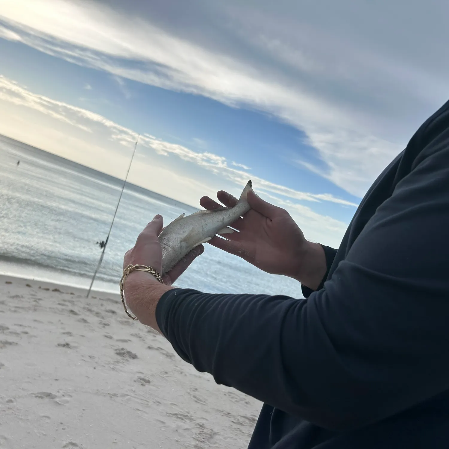 The most recent Gulf kingcroaker catches on Fishbrain