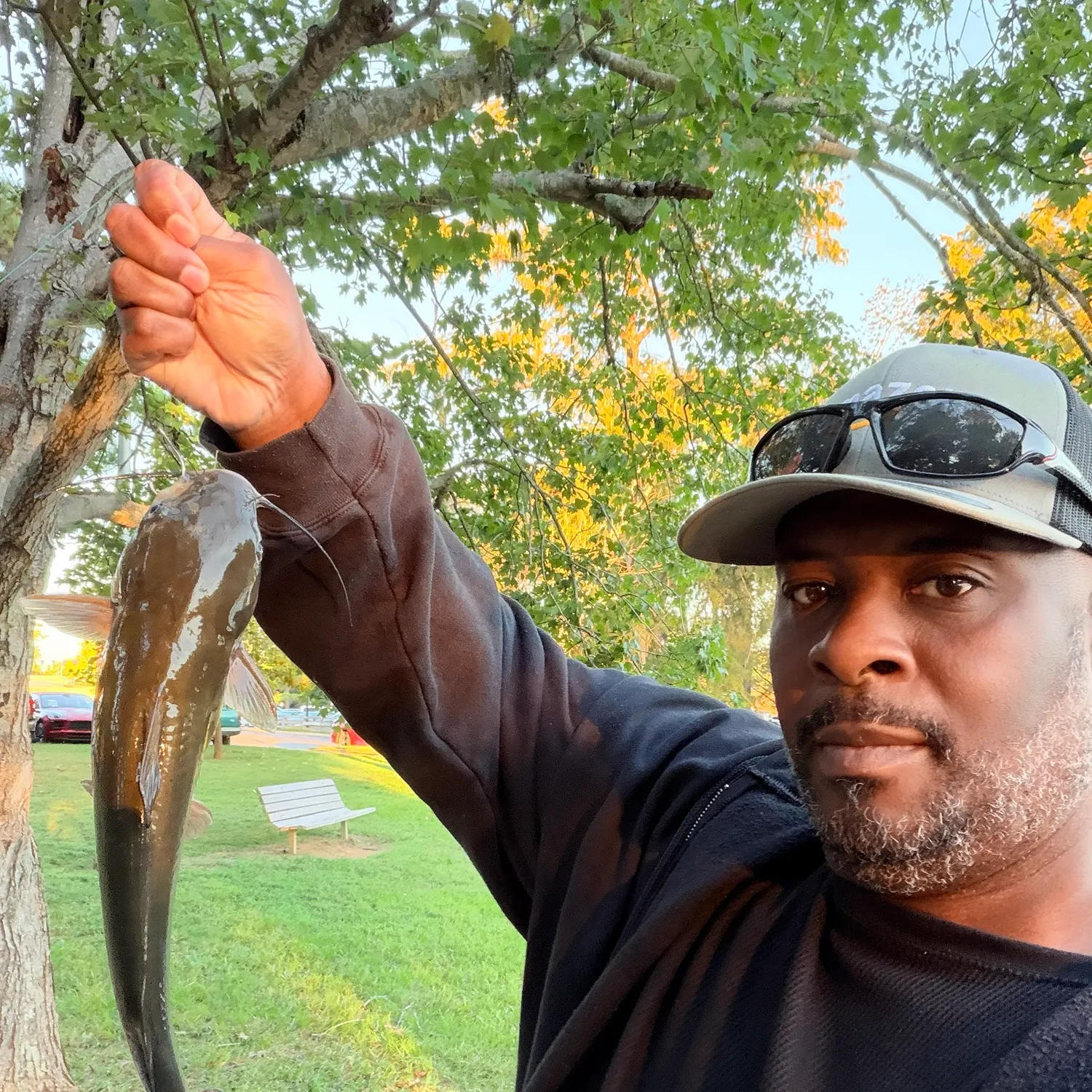 Channel catfish caught on Fishbrain
