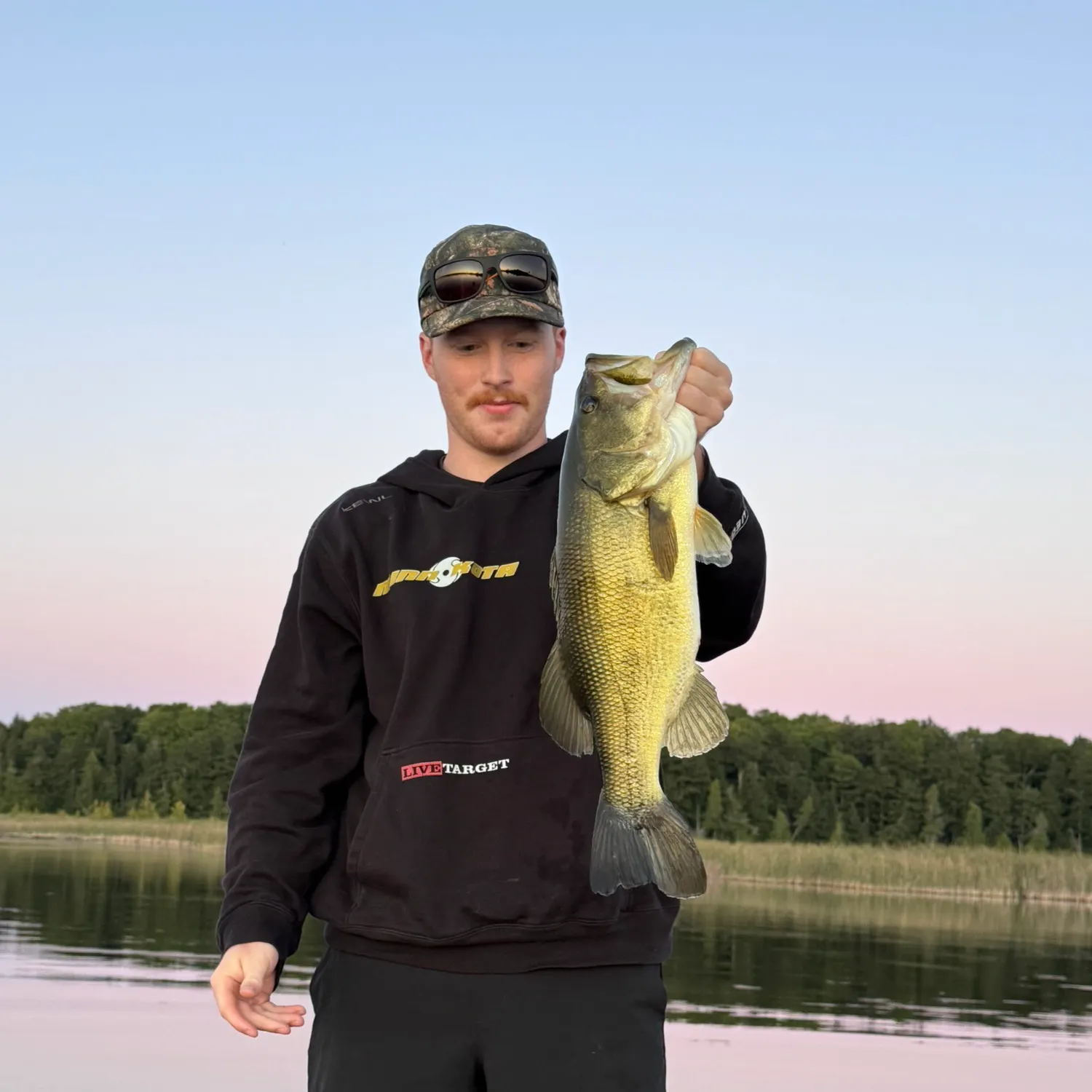 Largemouth bass caught on Fishbrain