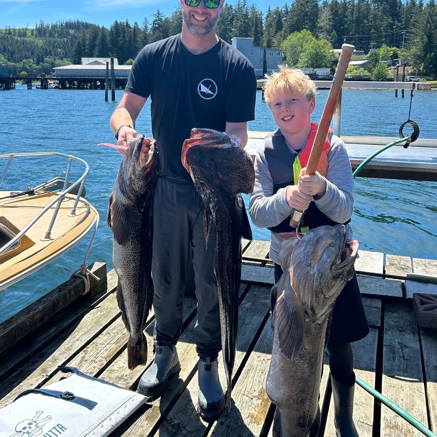 Lingcod caught on Fishbrain