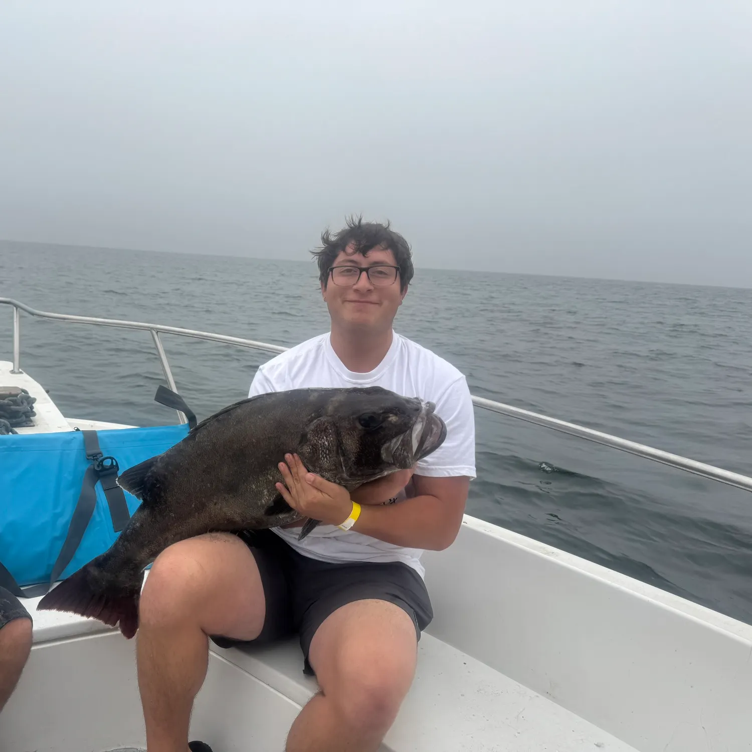 The most recent Giant sea bass catches on Fishbrain