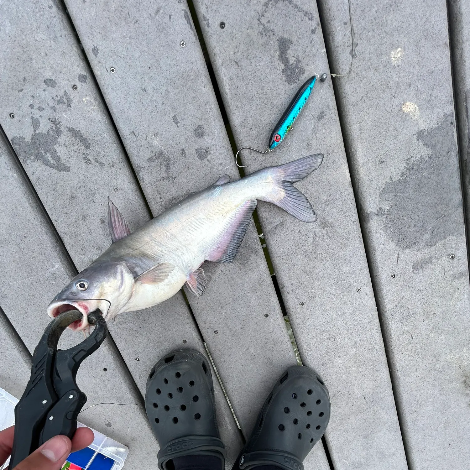 catch
