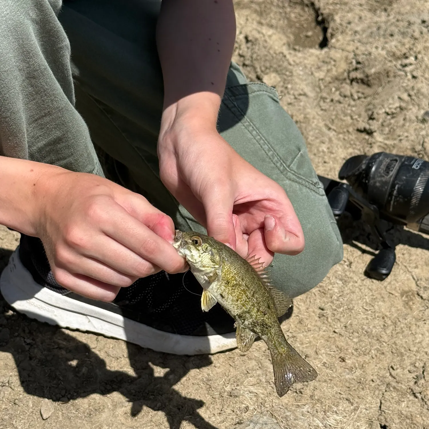 angler catch