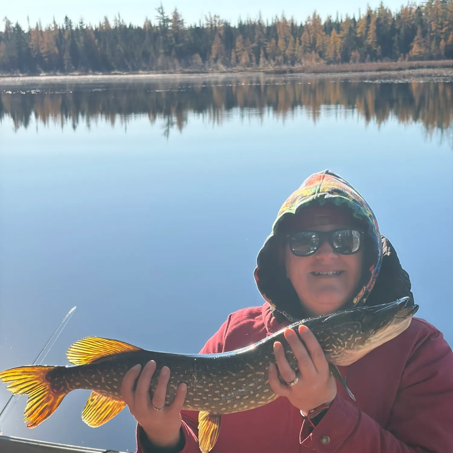 Northern pike caught on Fishbrain