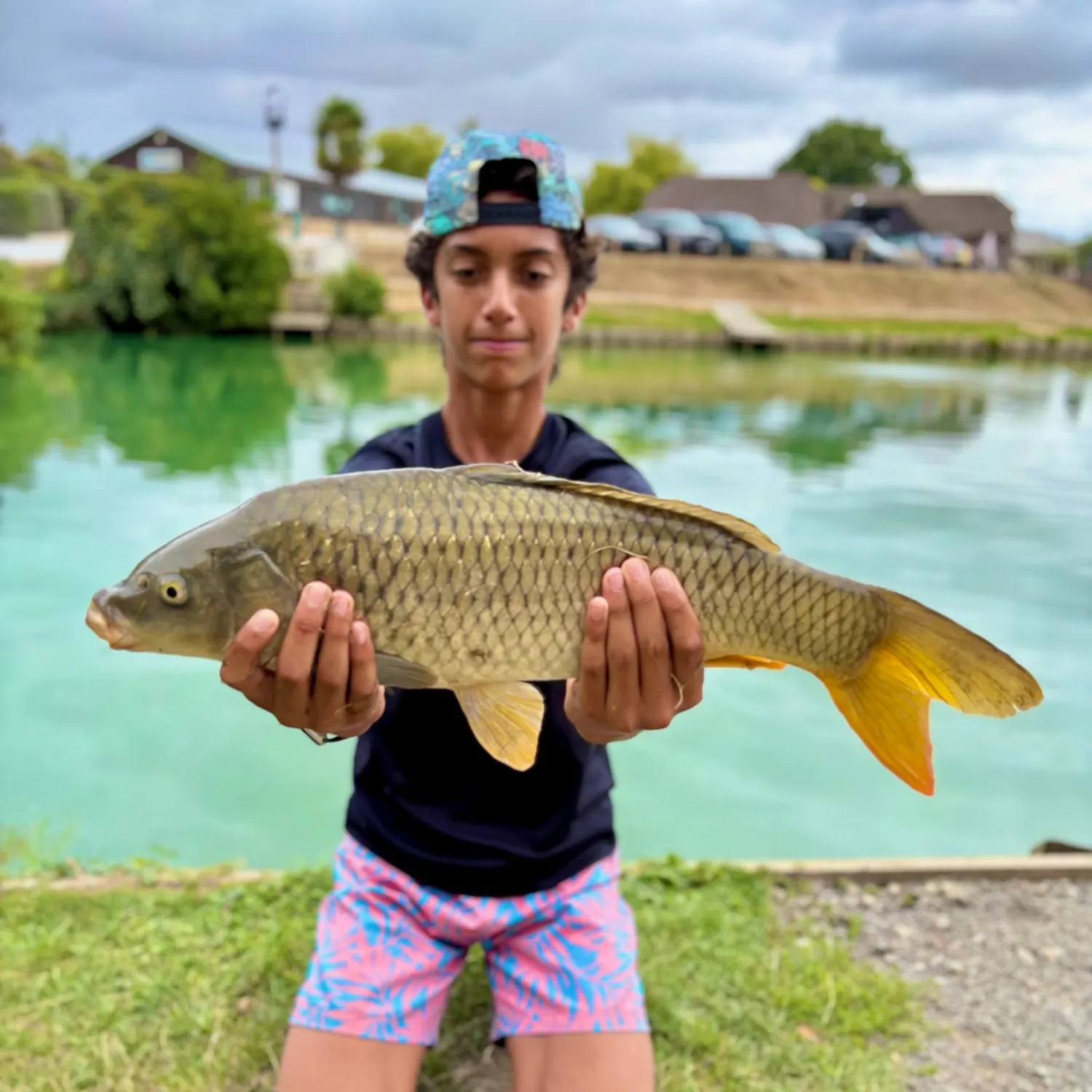Common carp caught on Fishbrain