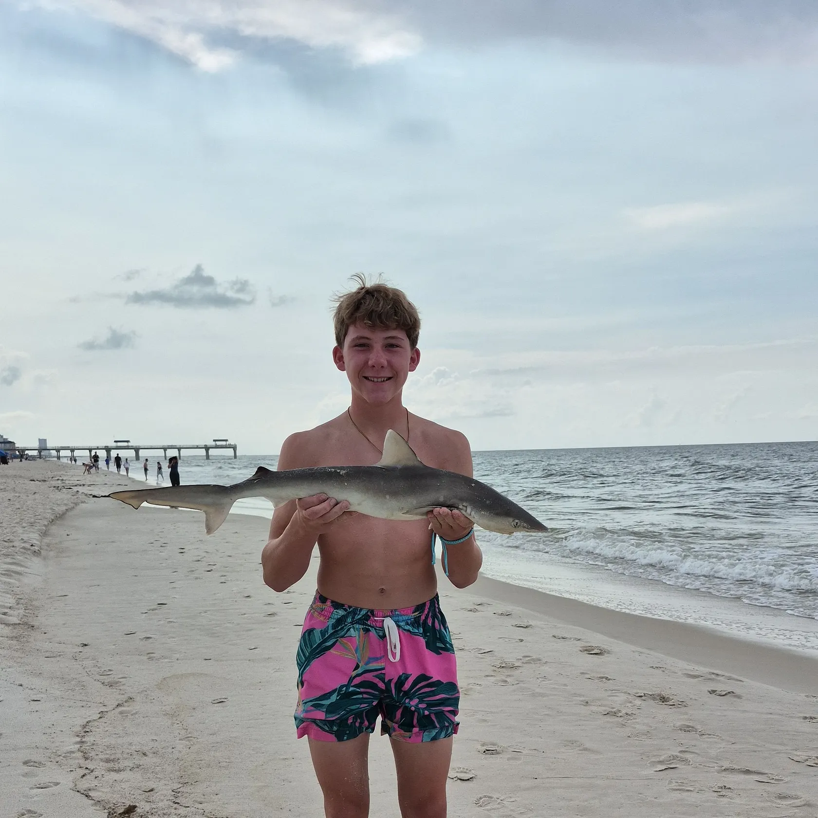 The most recent Atlantic sharpnose shark catches on Fishbrain