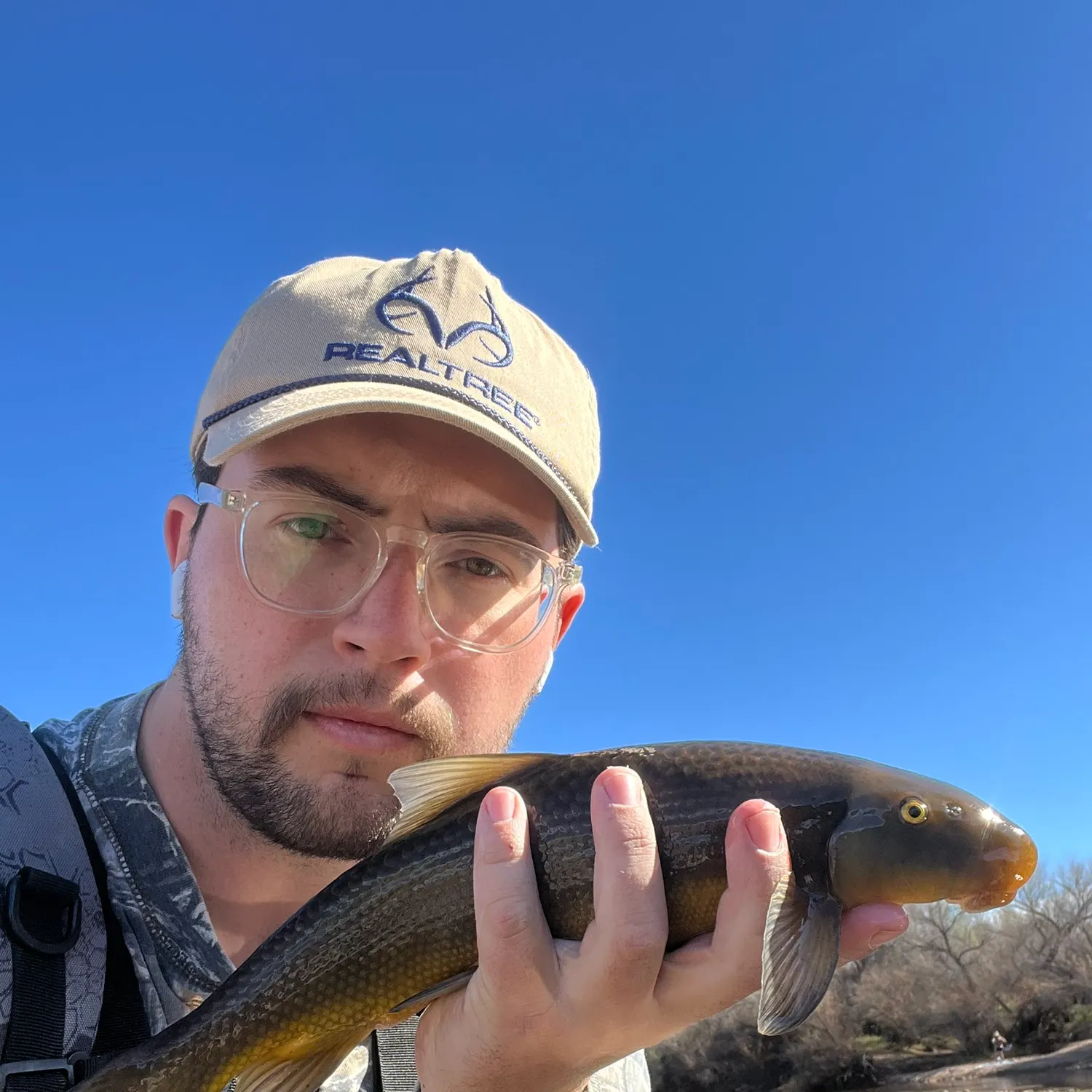 The most recent Desert sucker catches on Fishbrain