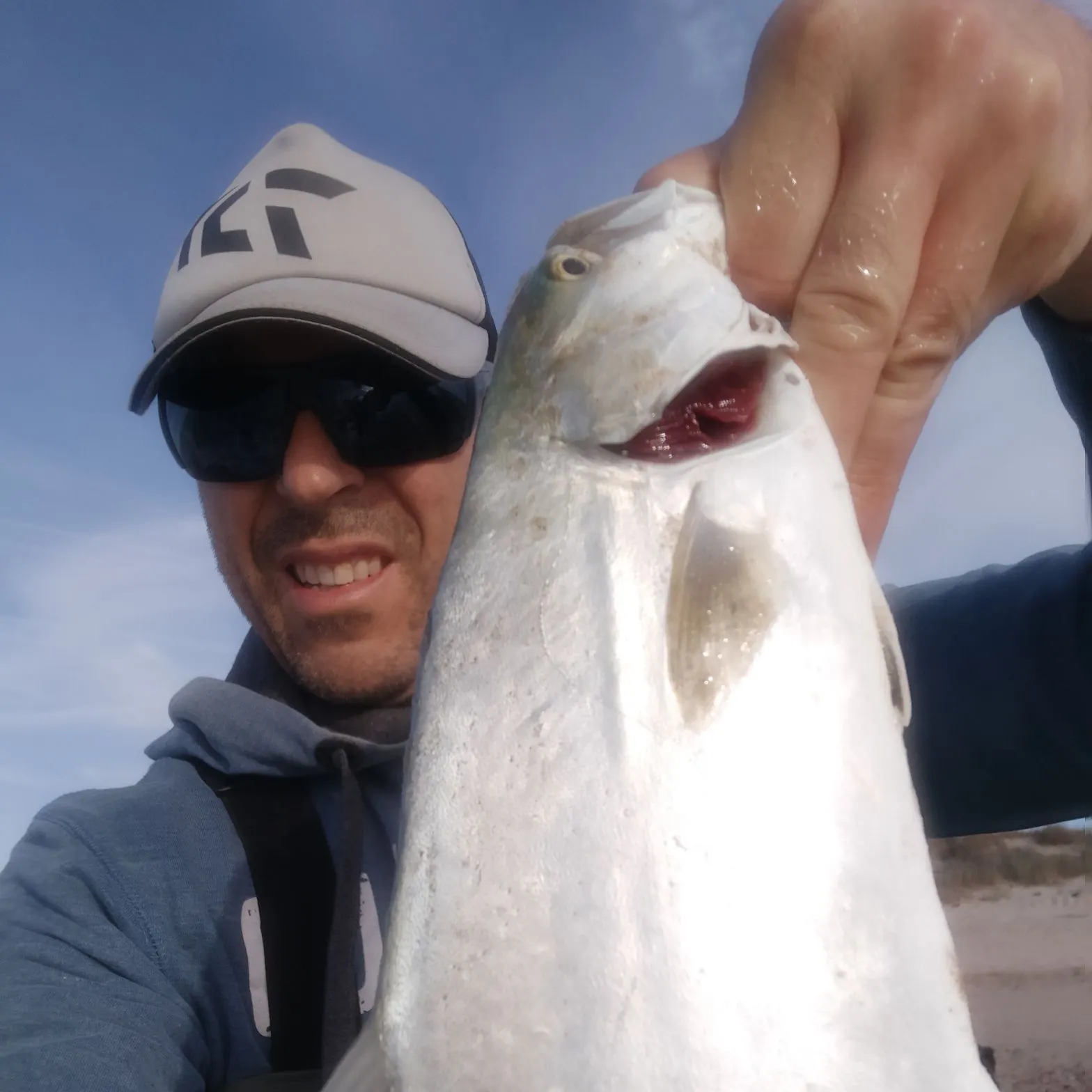 The most recent Leerfish catches on Fishbrain